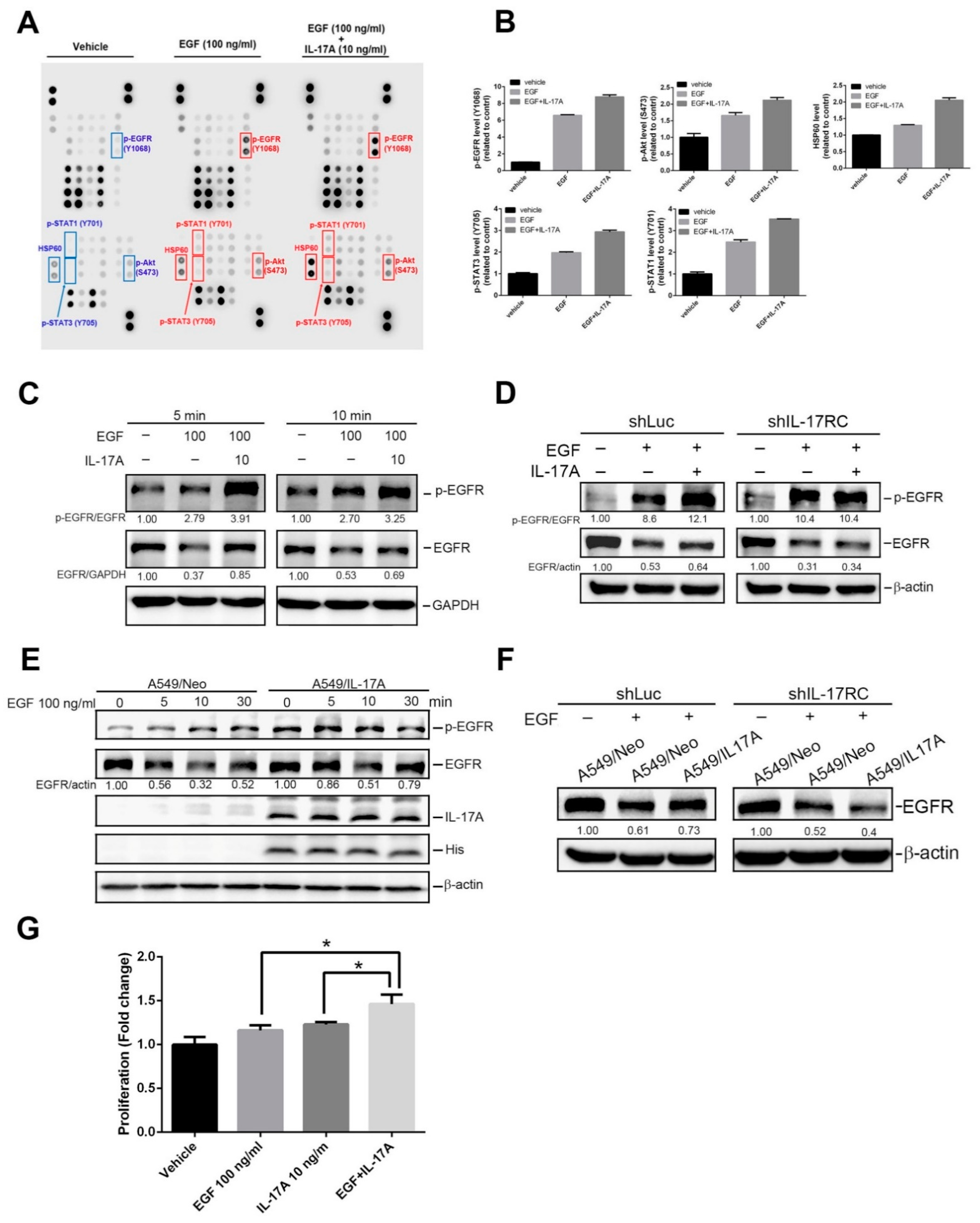 Cancers 15 03288 g004