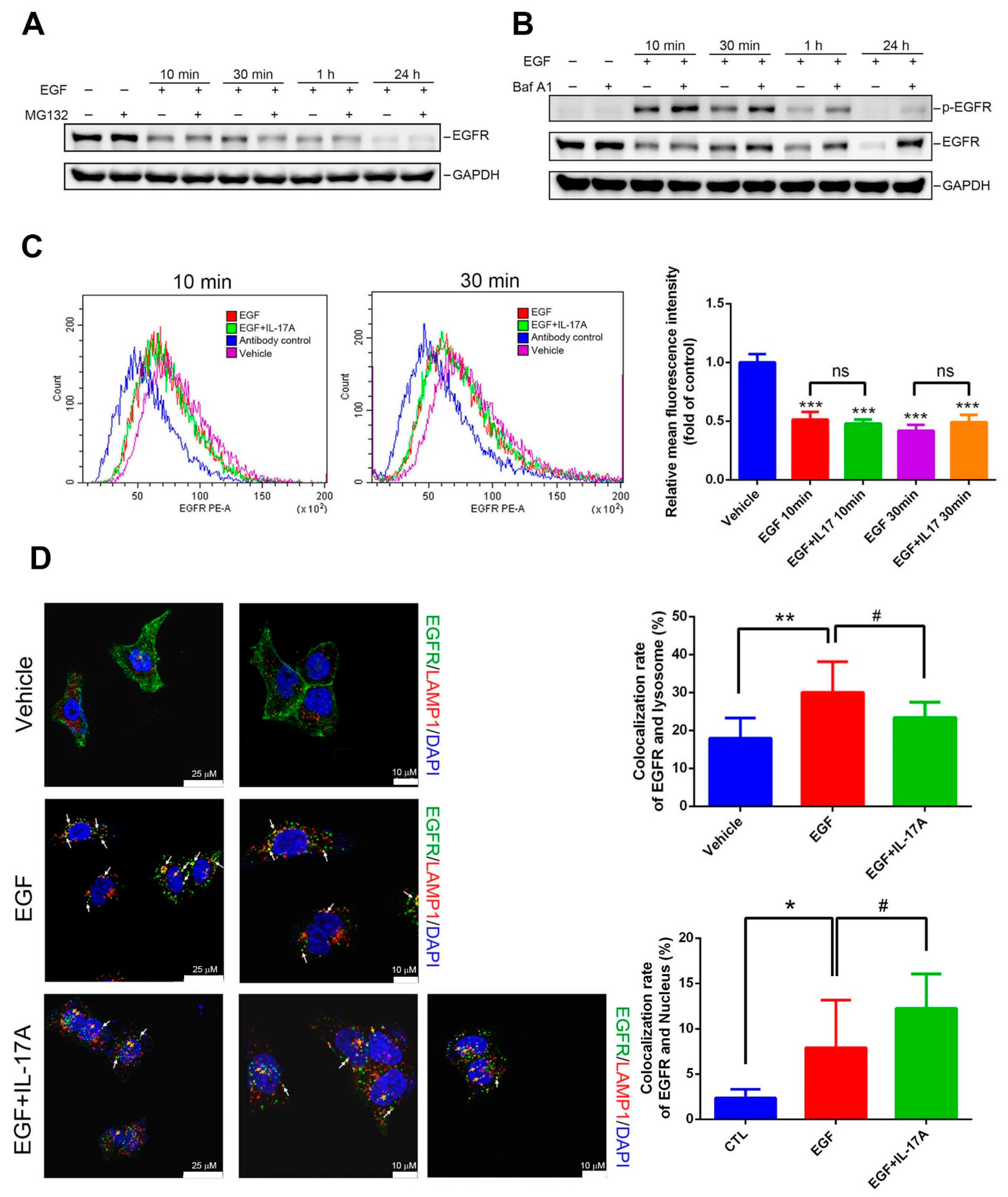 Cancers 15 03288 g005