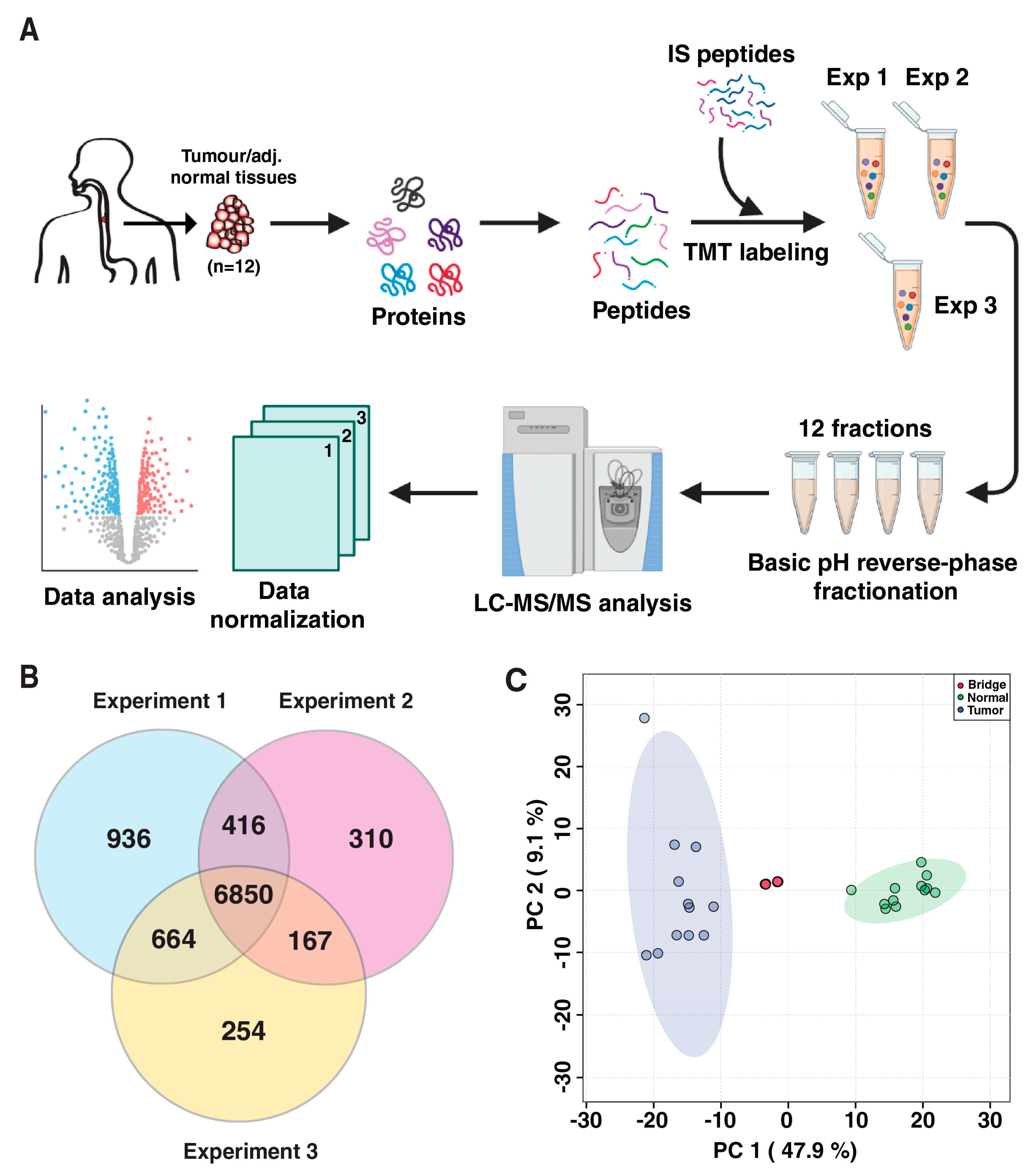 Cancers 15 03302 g001