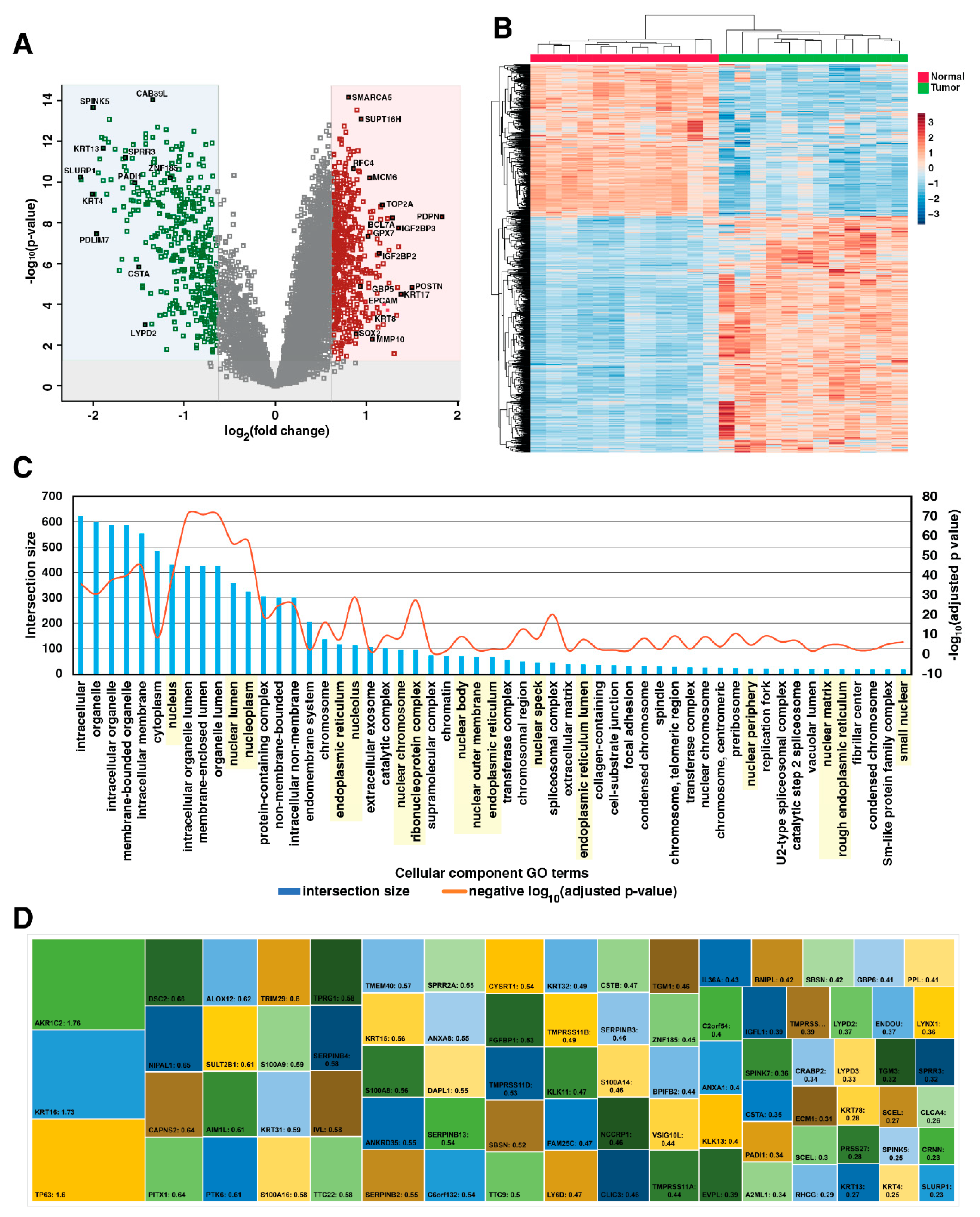 Cancers 15 03302 g002
