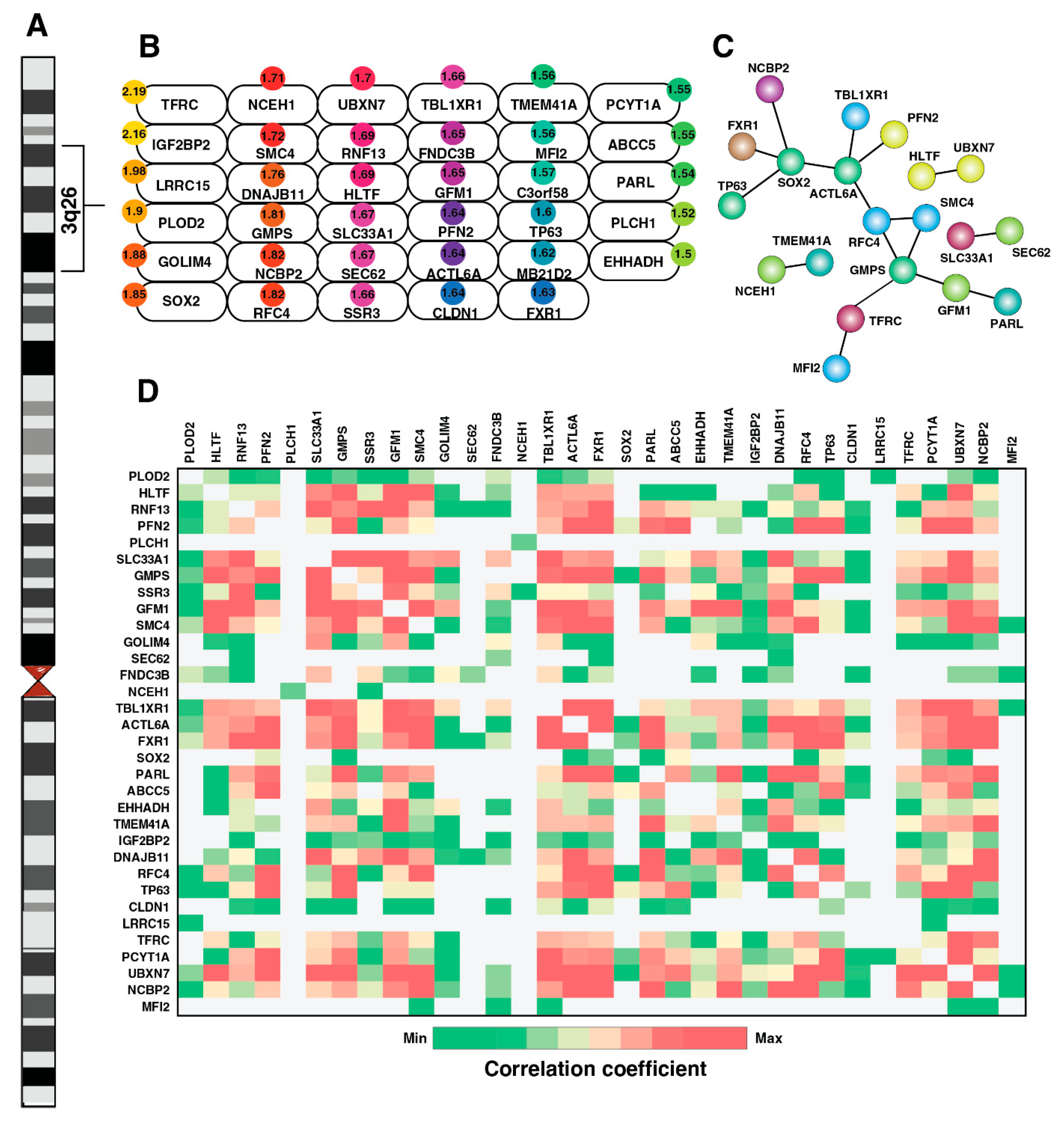 Cancers 15 03302 g003