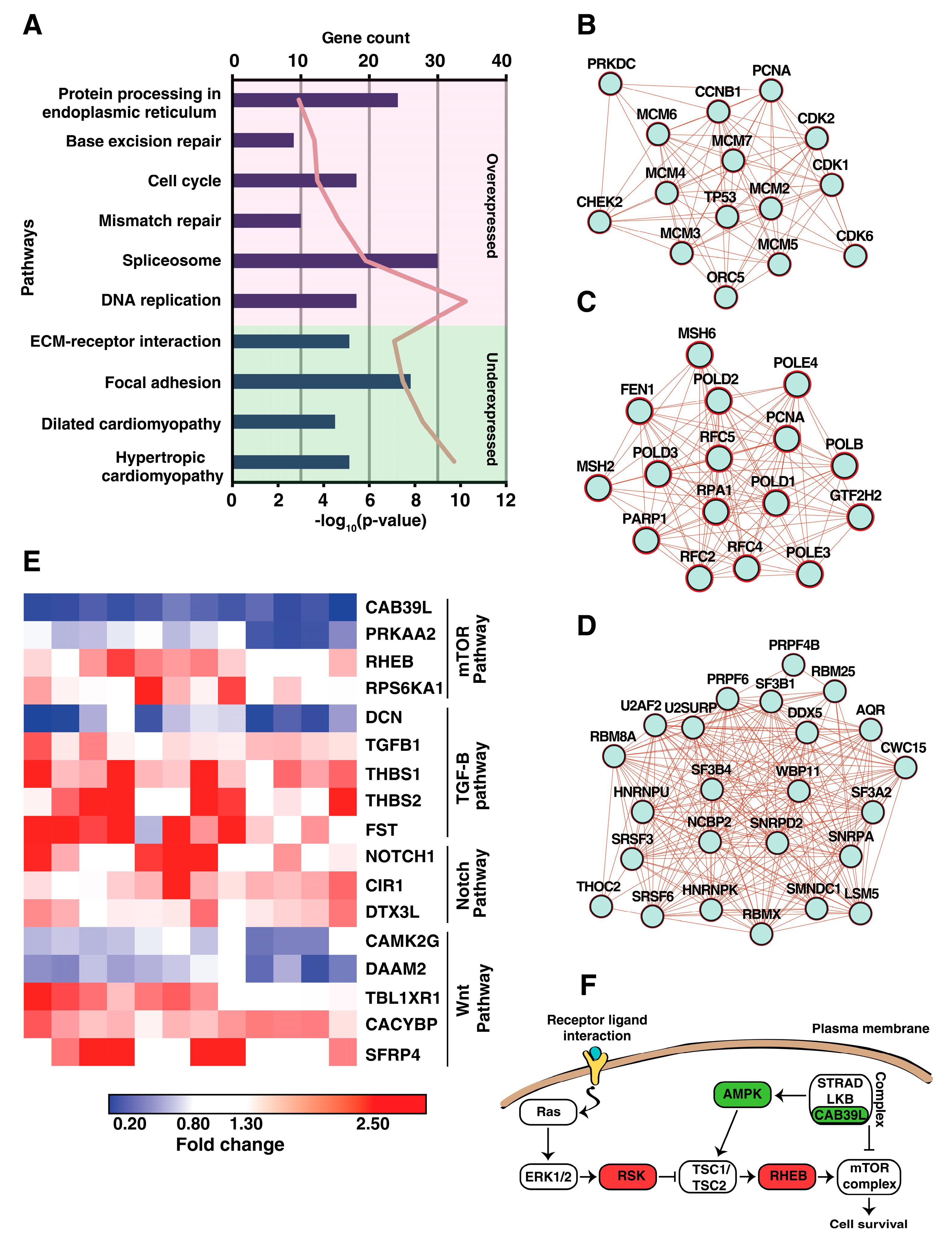 Cancers 15 03302 g004
