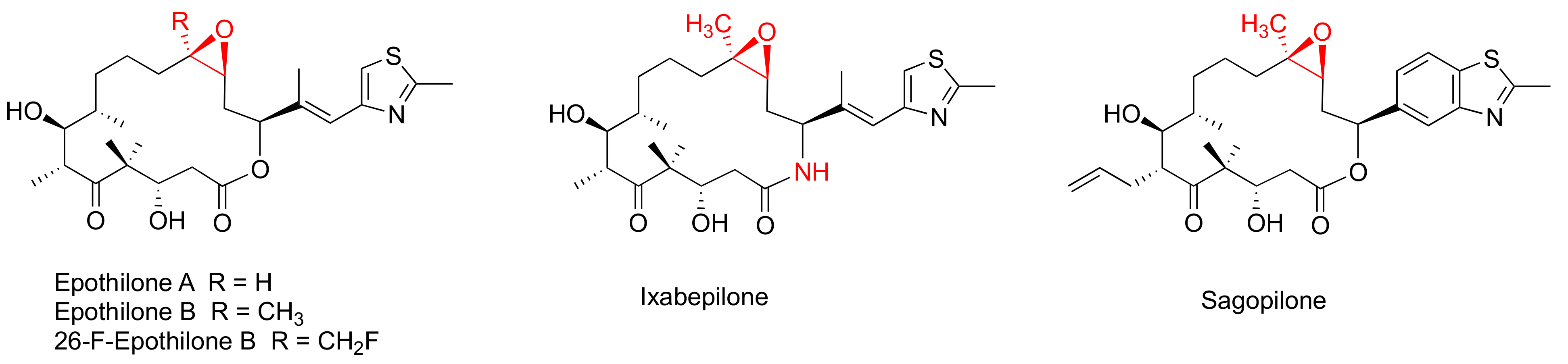 Cancers 15 03308 g002