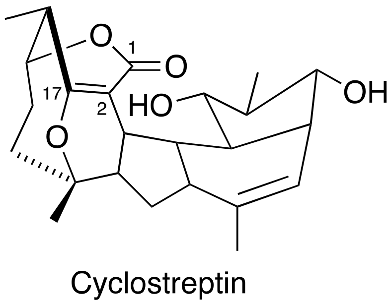 Cancers 15 03308 g004