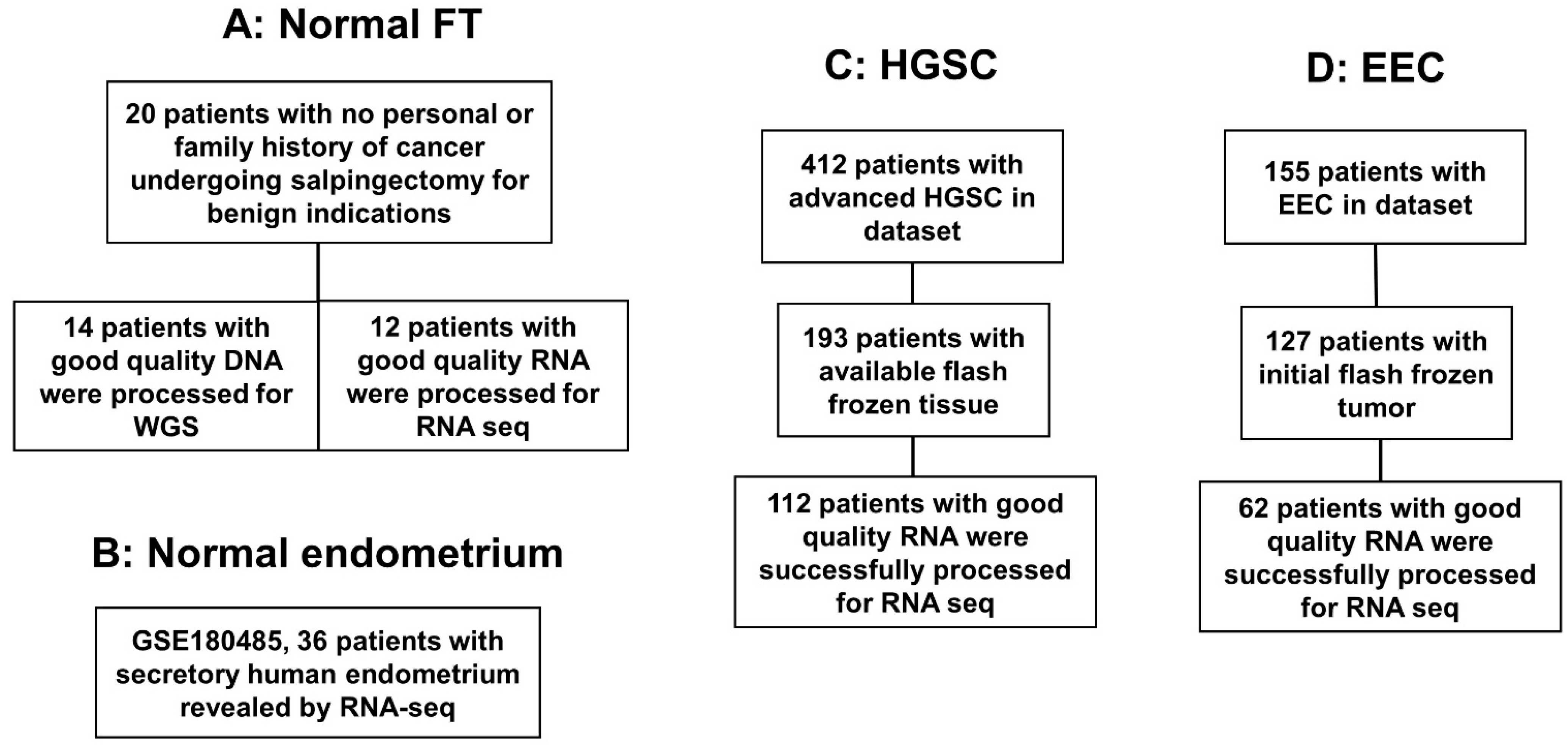 Cancers 15 03316 g001 Cancers 15 03316 g001