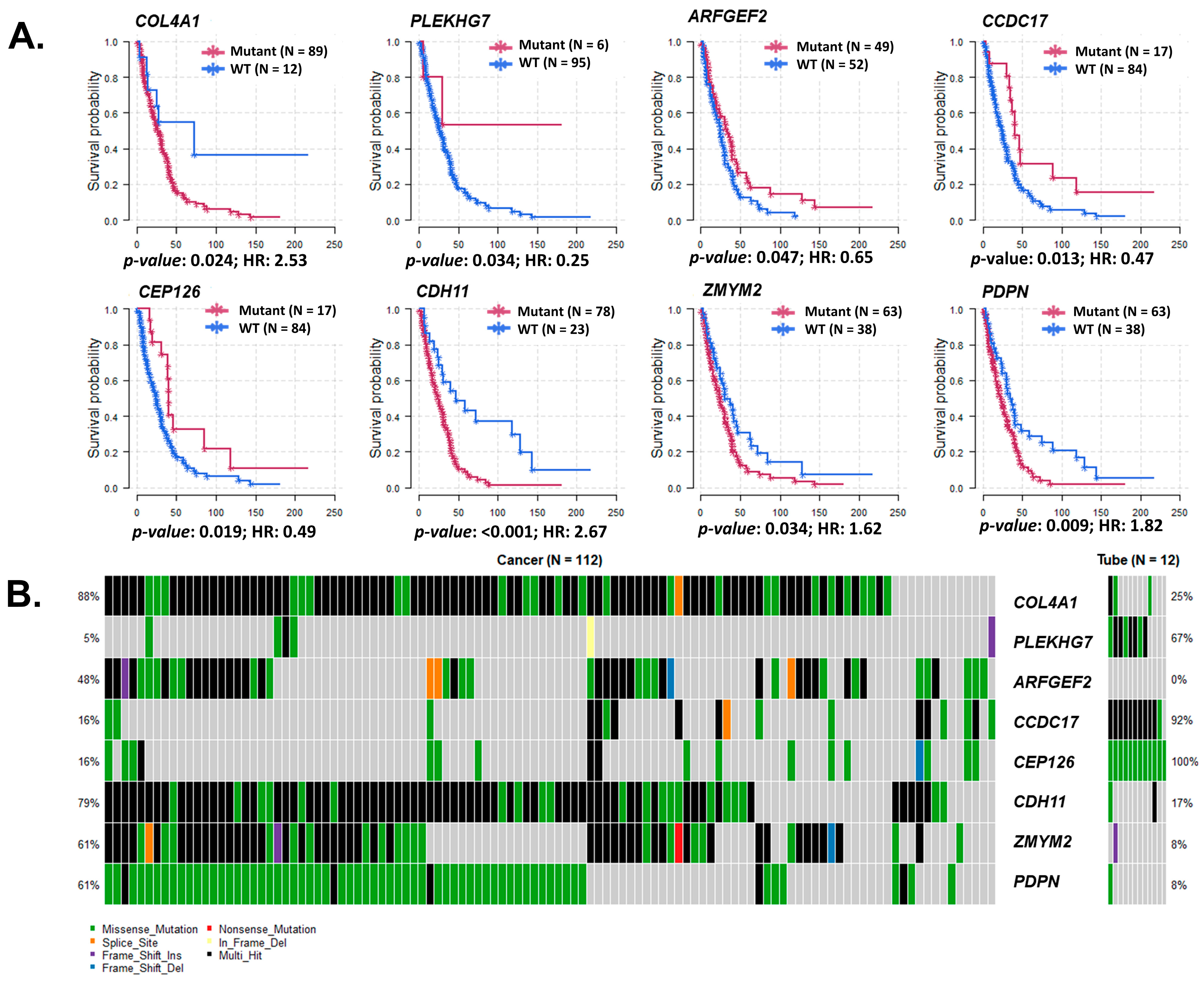 Cancers 15 03316 g005 Cancers 15 03316 g005