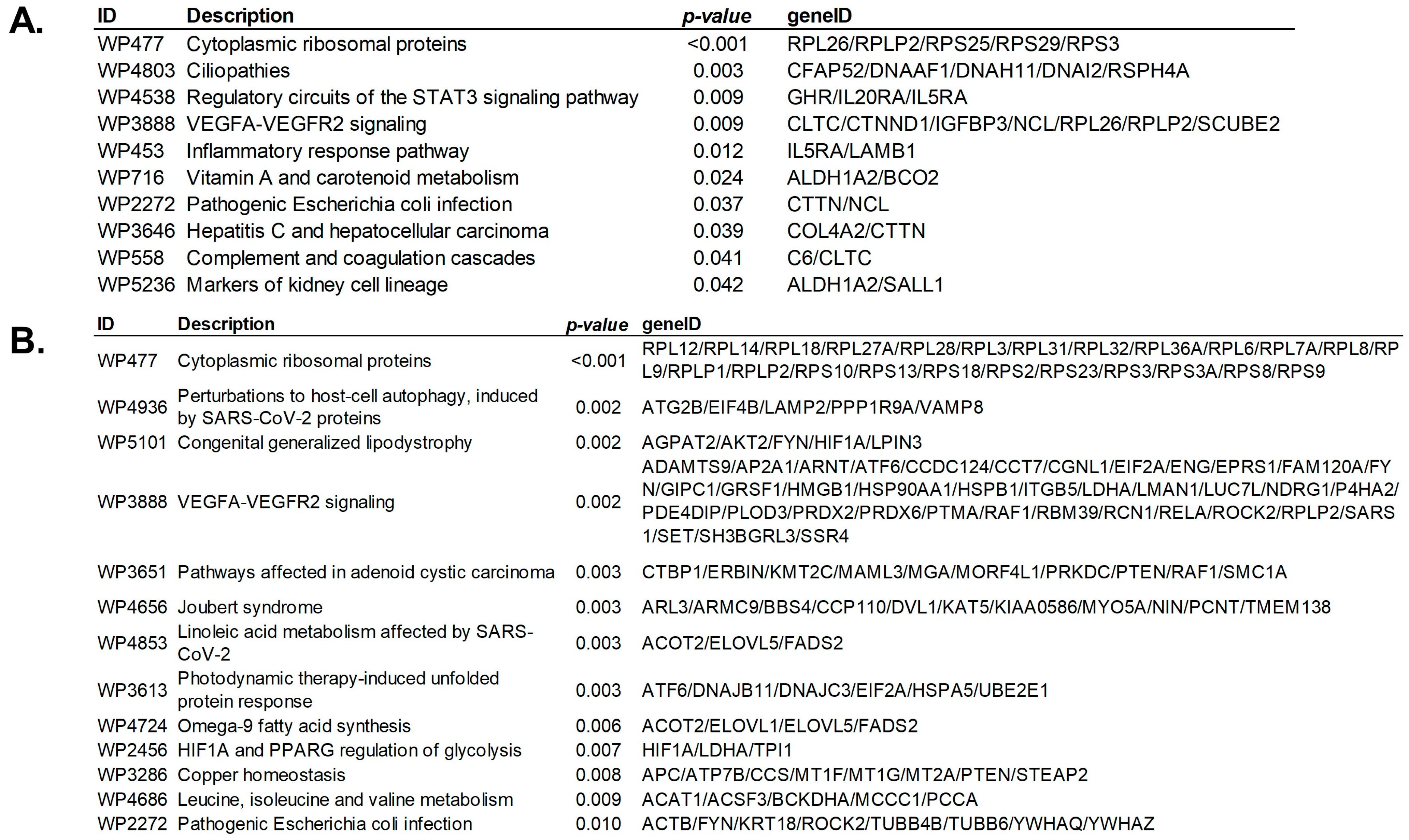 Cancers 15 03316 g008 Cancers 15 03316 g008