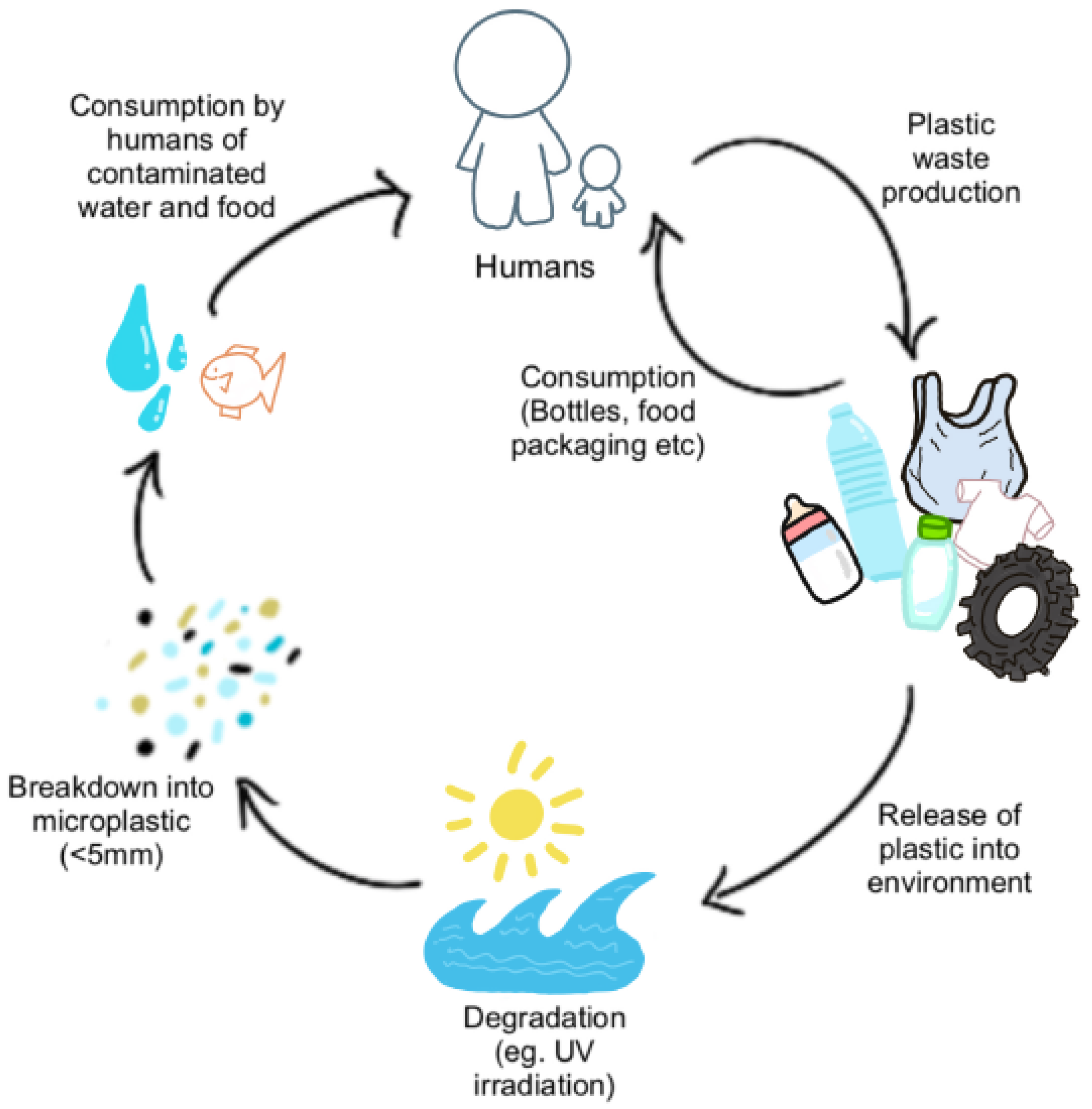 Cancers 15 03323 g002