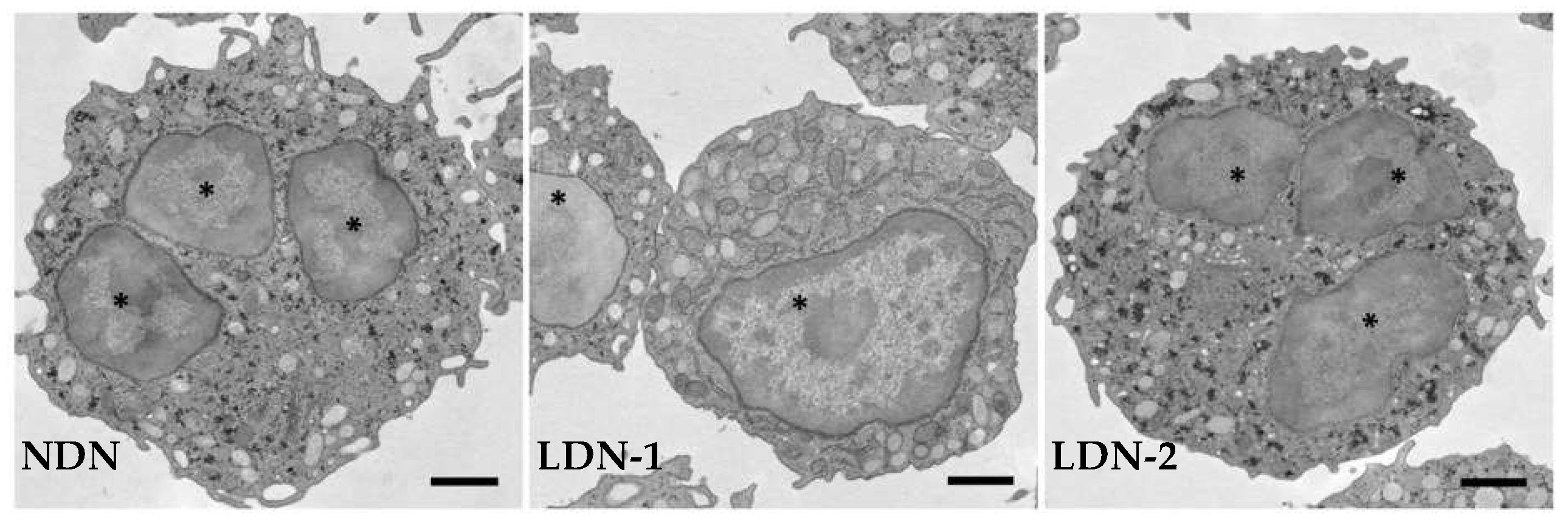 Cancers 15 03327 g001 Cancers 15 03327 g001