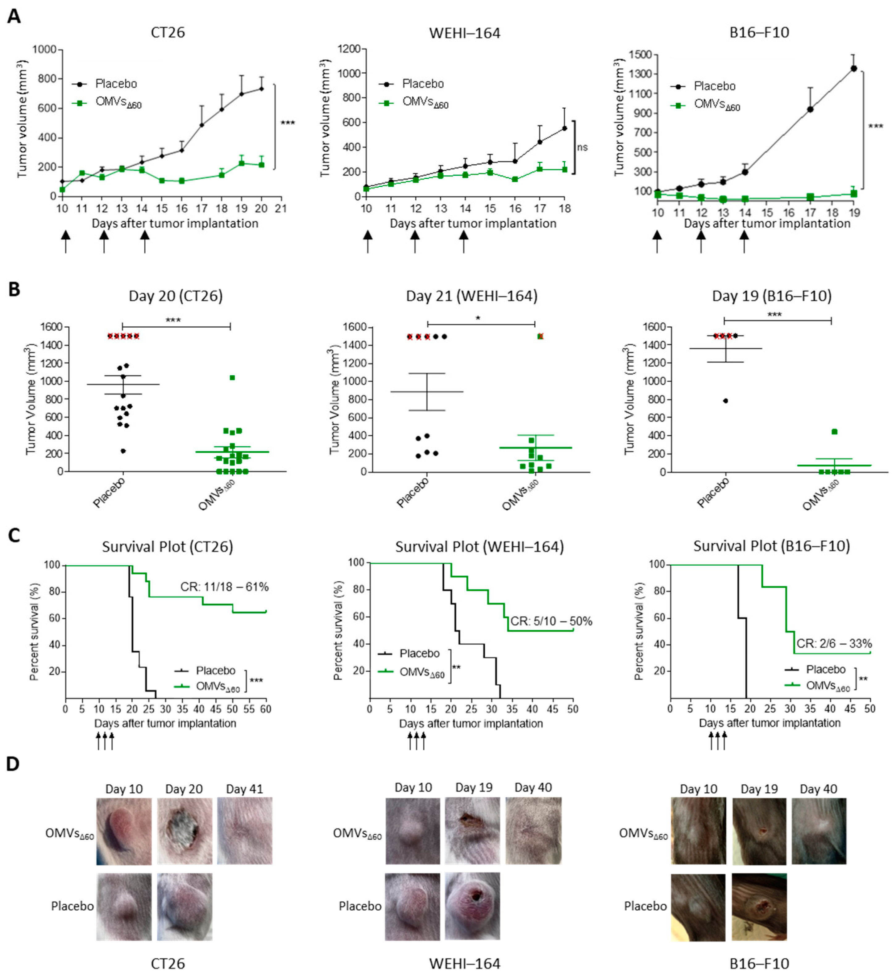 Cancers 15 03328 g002