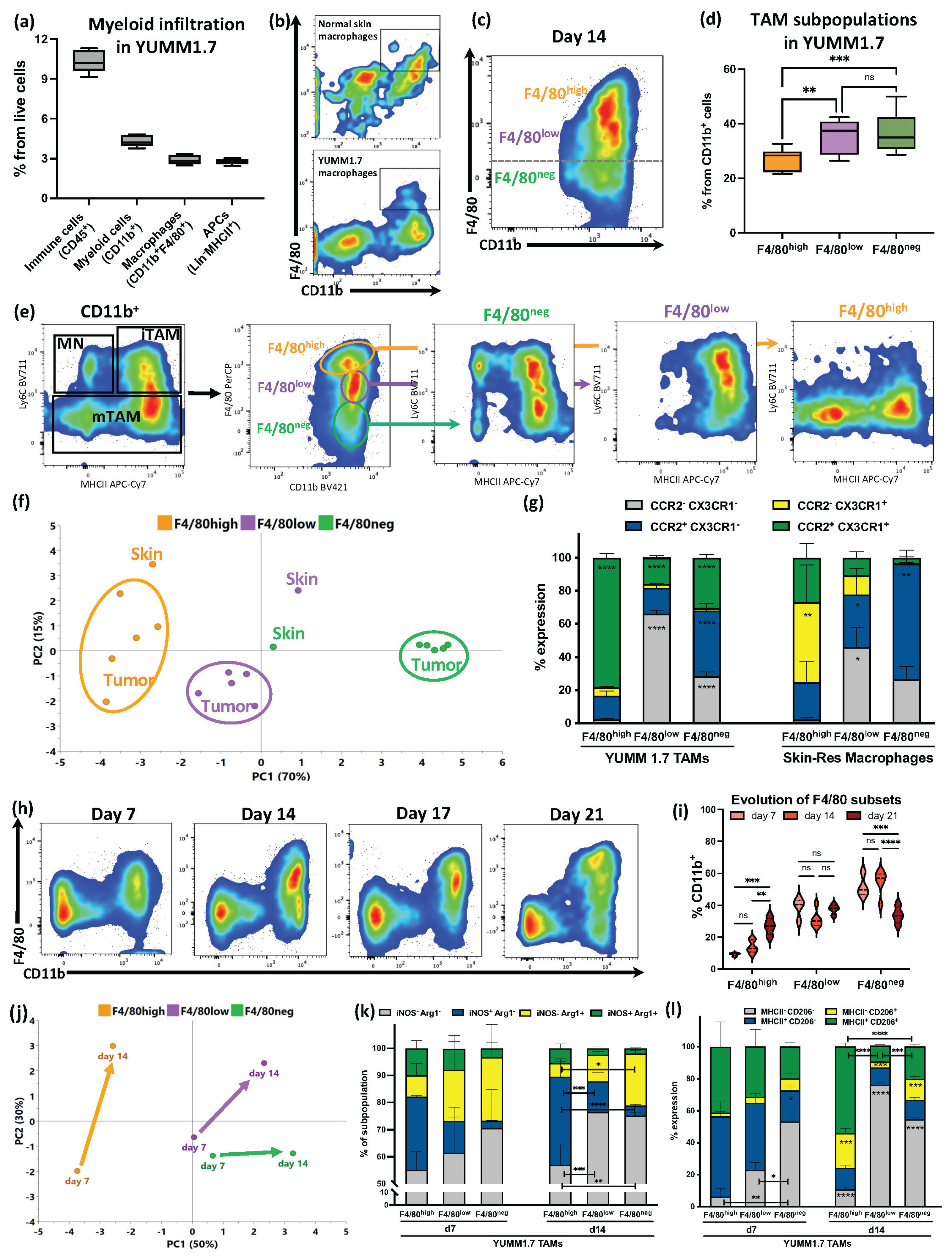 Cancers 15 03330 g001