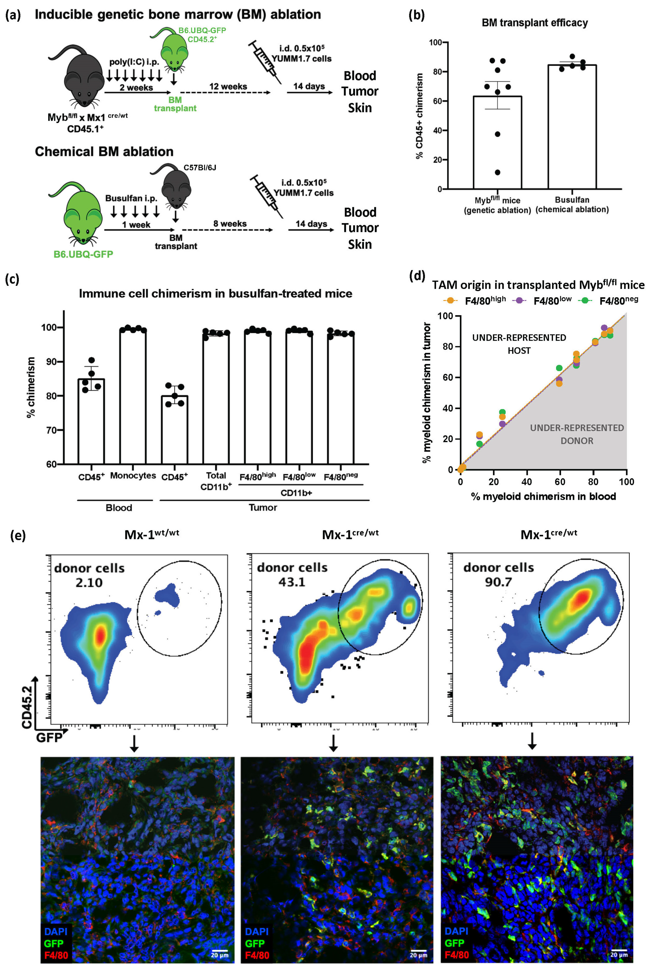 Cancers 15 03330 g002