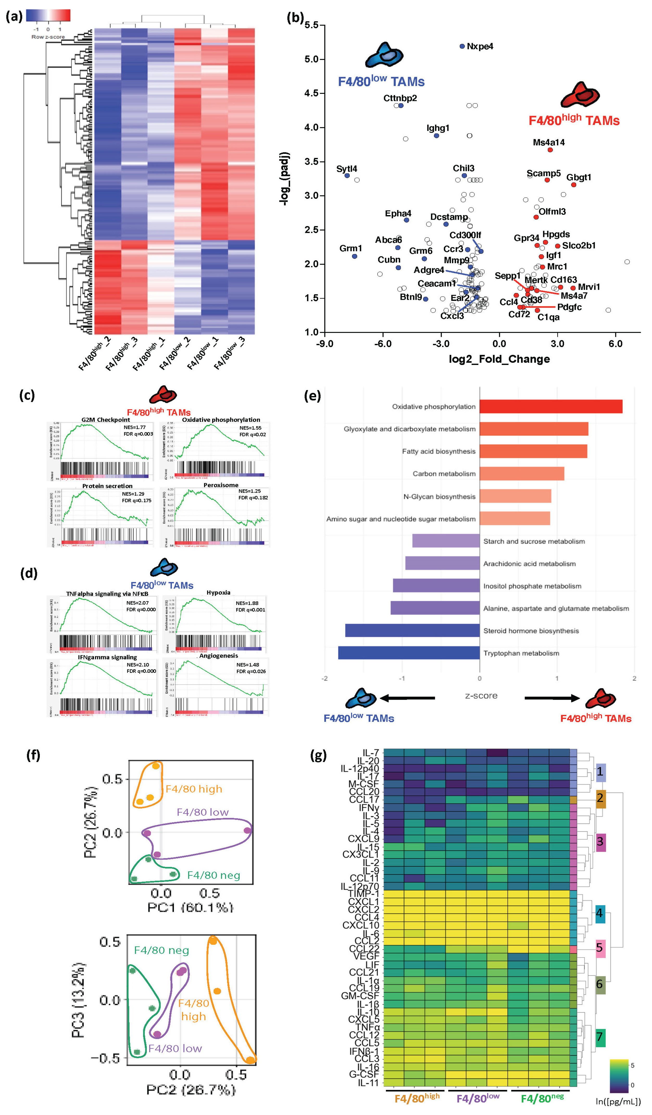 Cancers 15 03330 g003