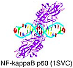 Cancers 15 03338 i005