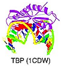 Cancers 15 03338 i006