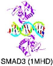 Cancers 15 03338 i007