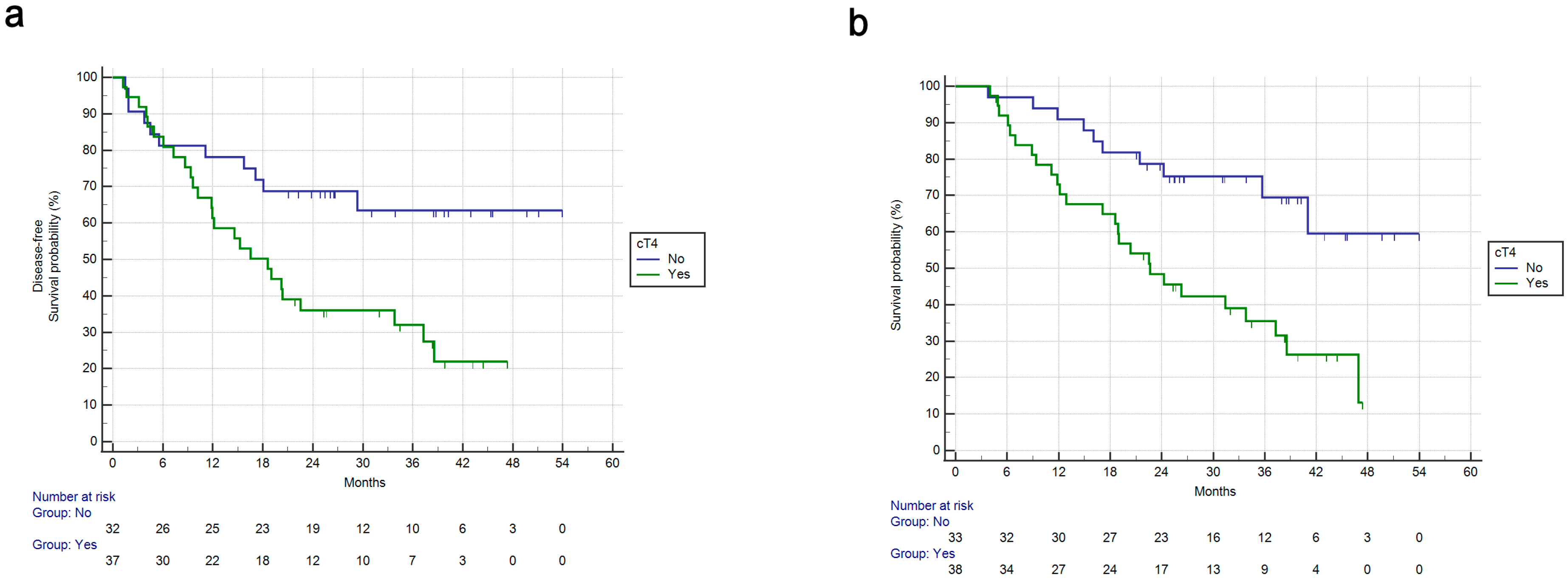 Cancers 15 03342 g001