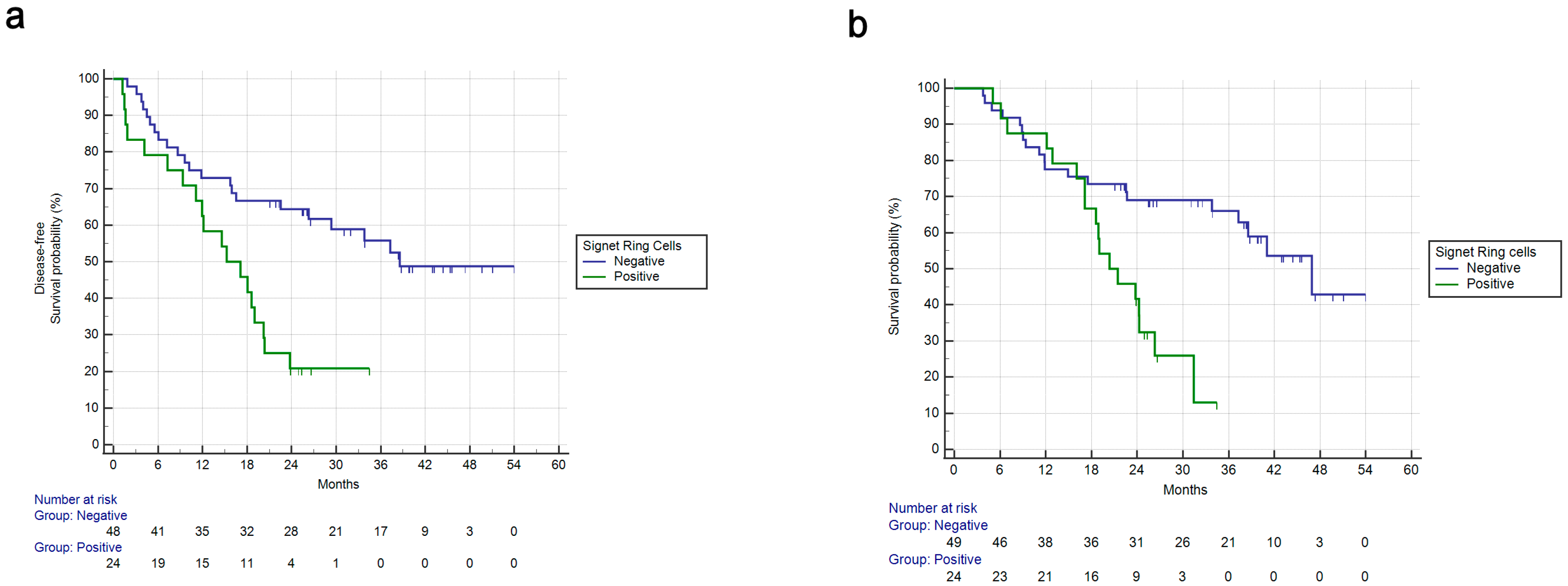 Cancers 15 03342 g002