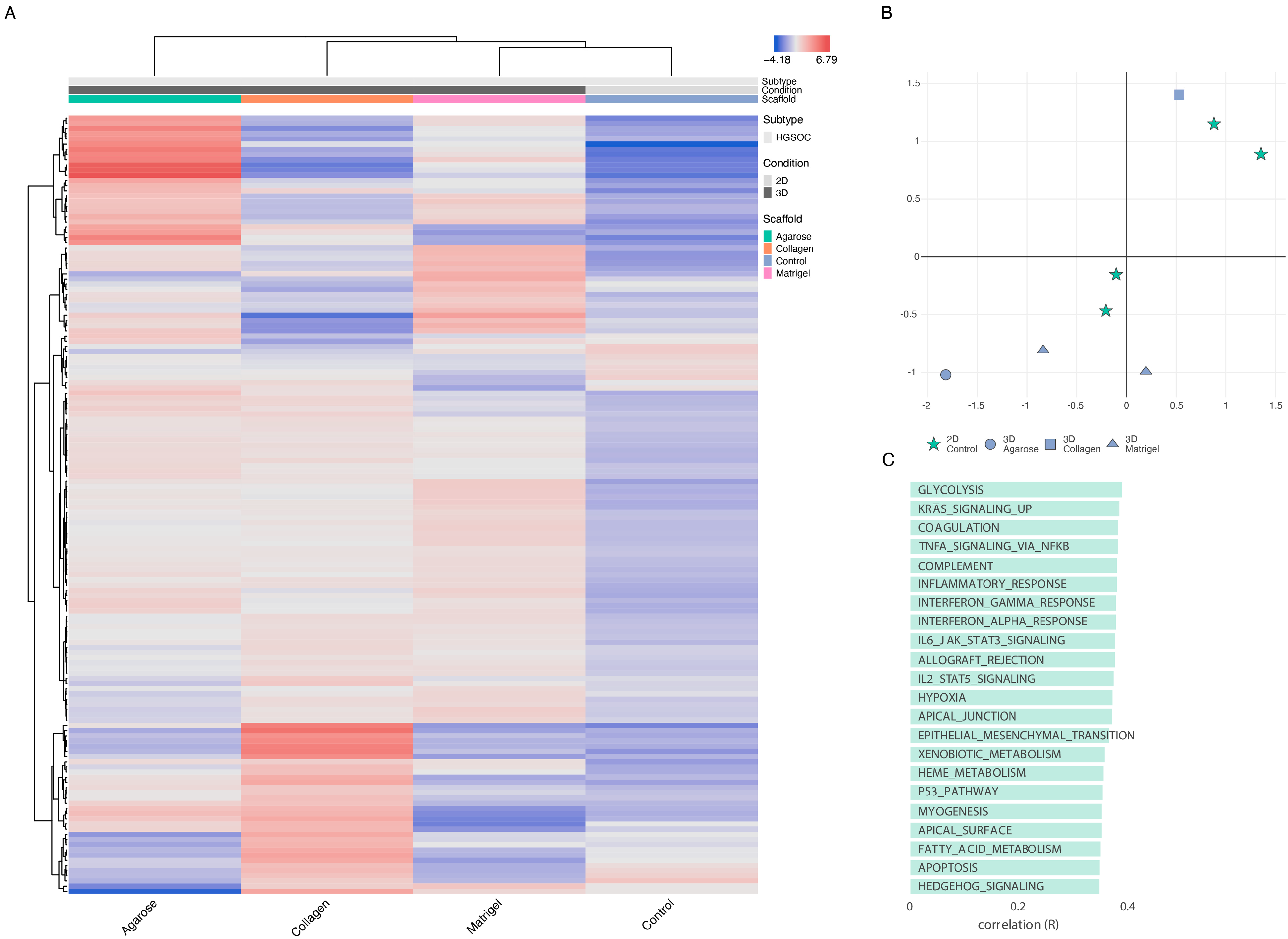 Cancers 15 03350 g005