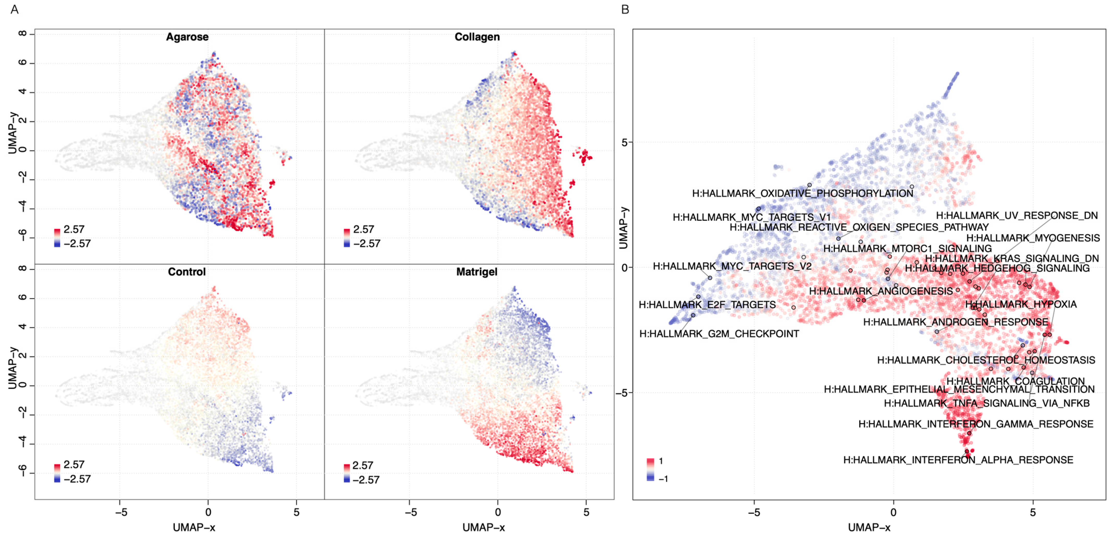 Cancers 15 03350 g006