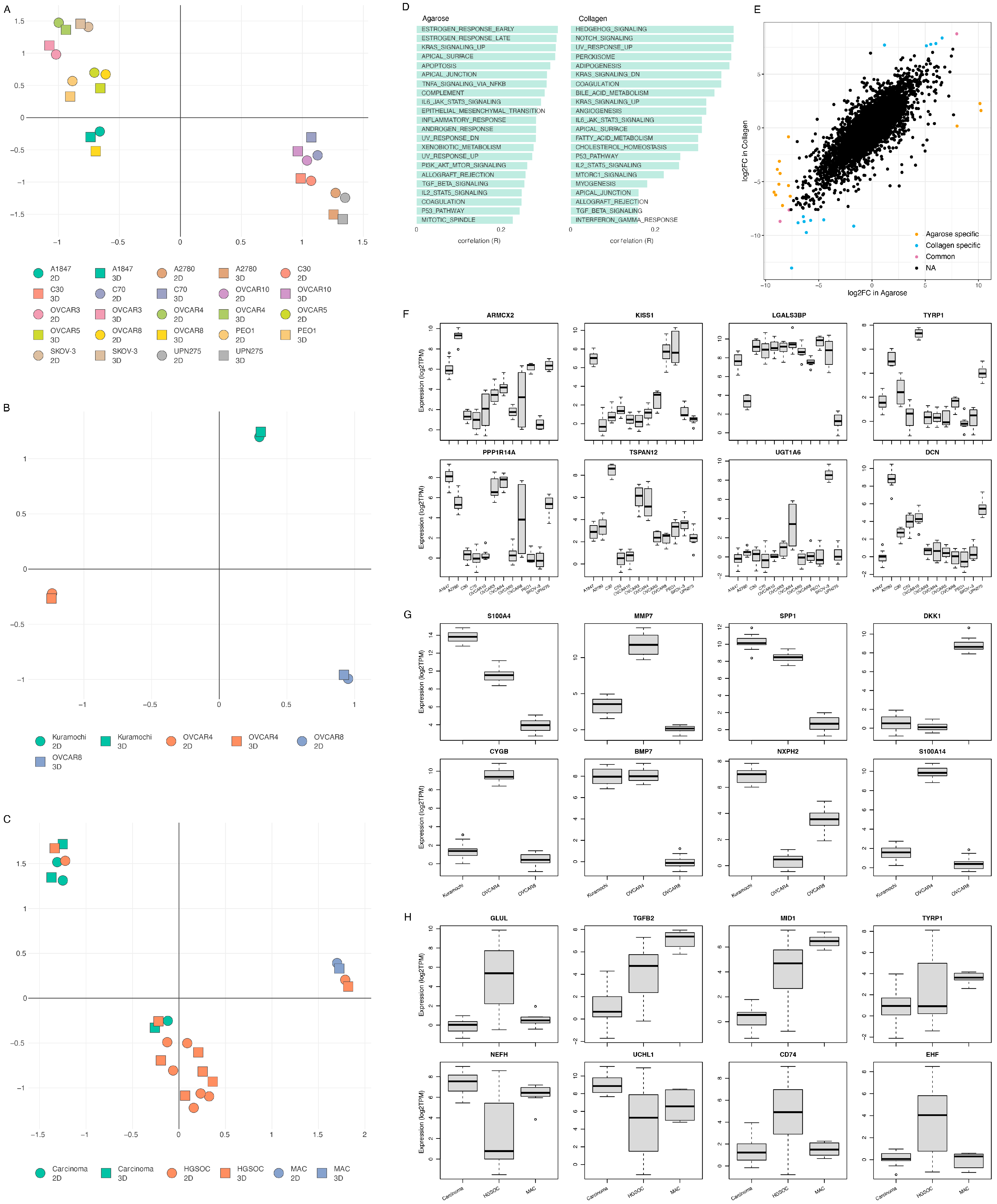 Cancers 15 03350 g009