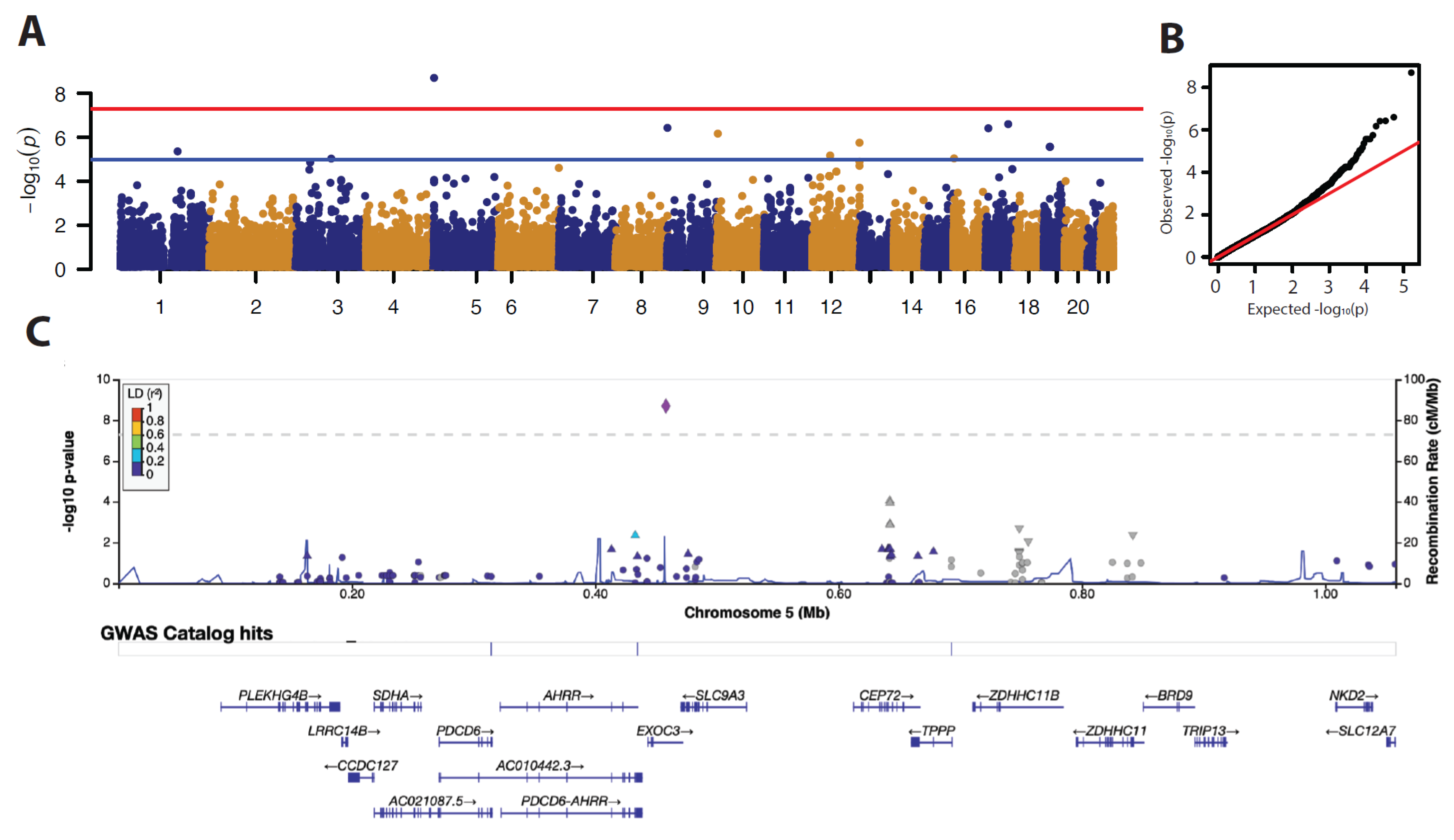 Cancers 15 03354 g001 Cancers 15 03354 g001