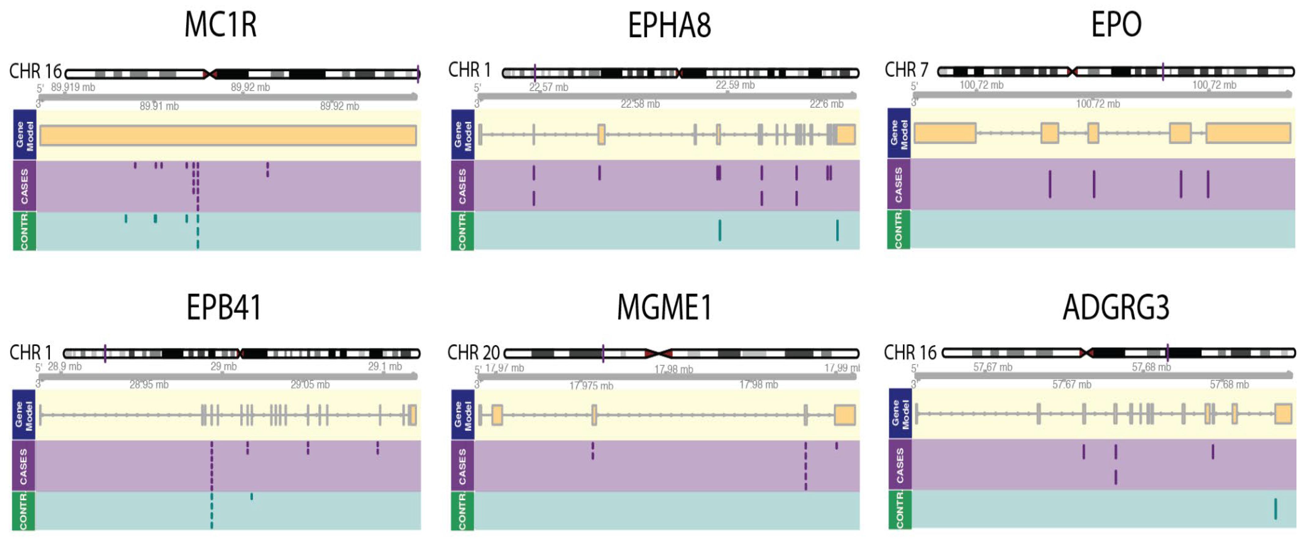 Cancers 15 03354 g002 Cancers 15 03354 g002