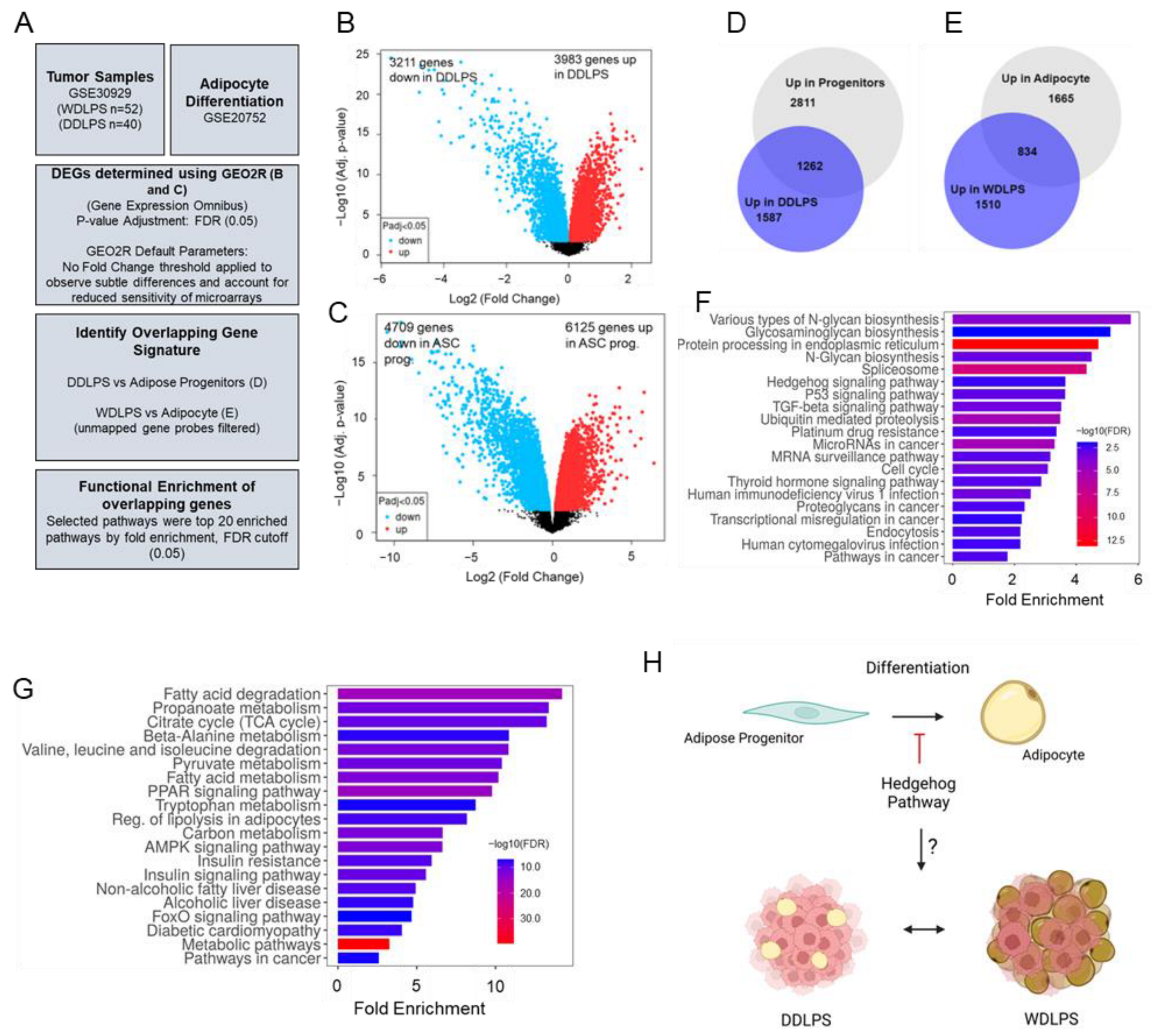 Cancers 15 03360 g001