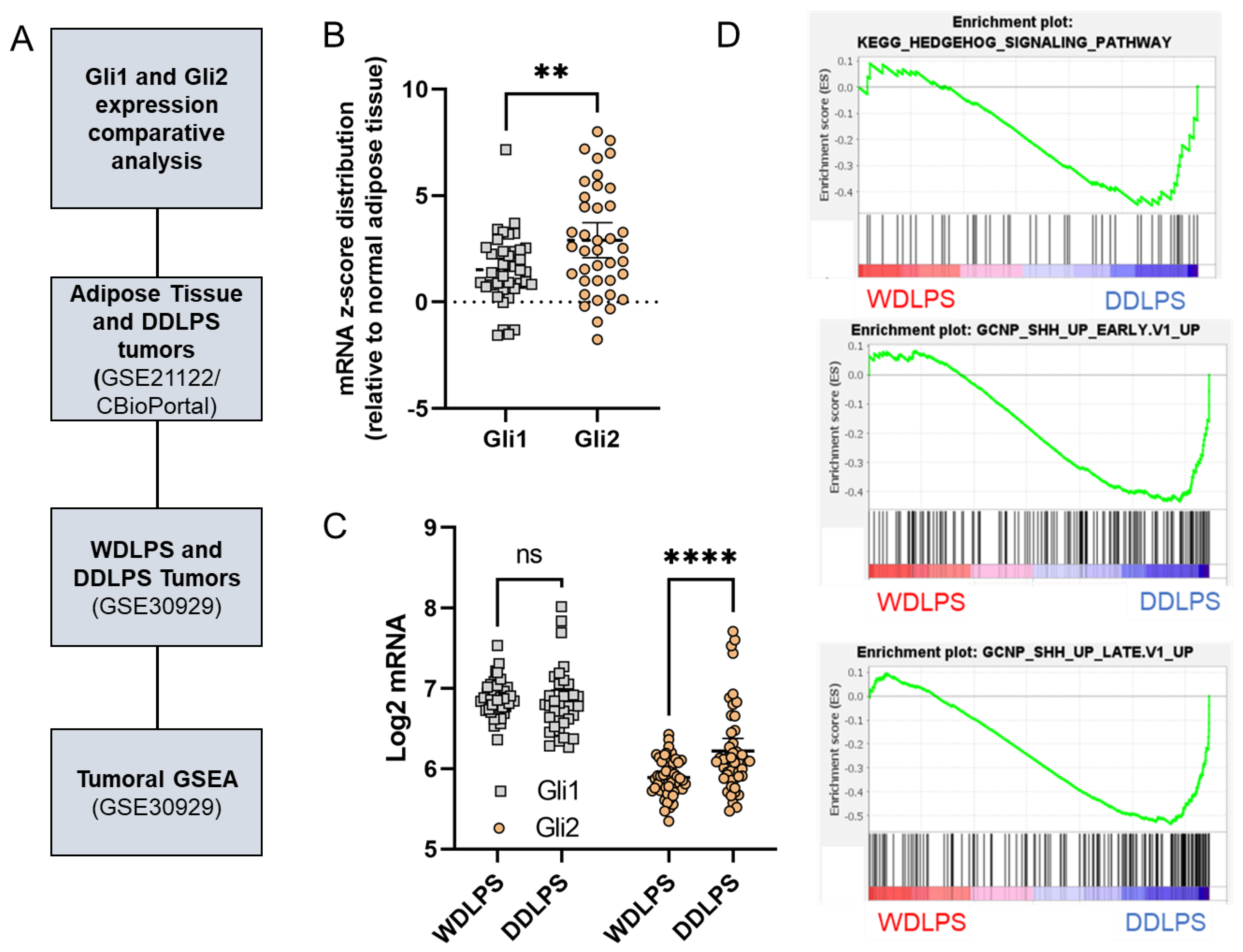 Cancers 15 03360 g004