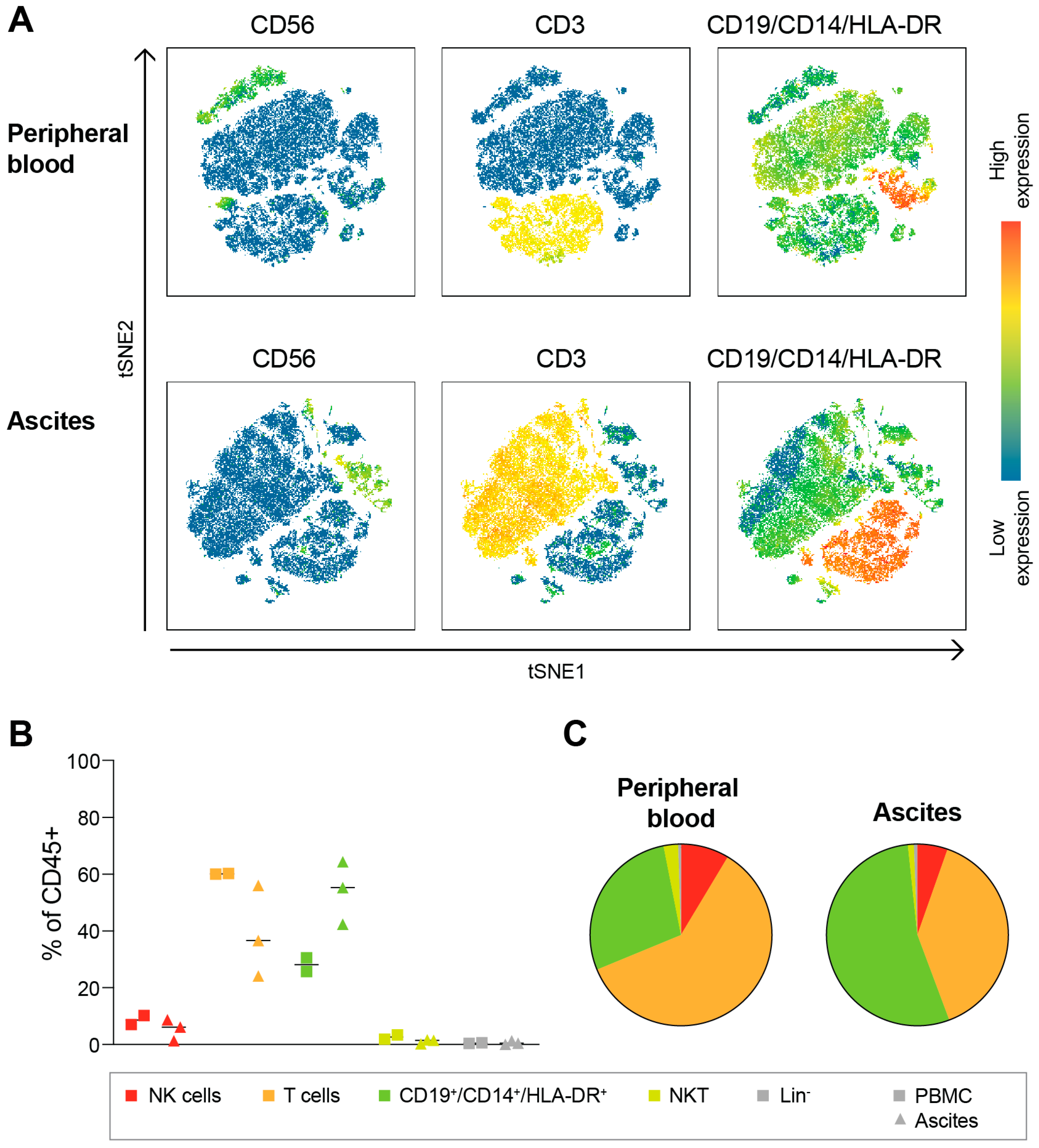 Cancers 15 03362 g001