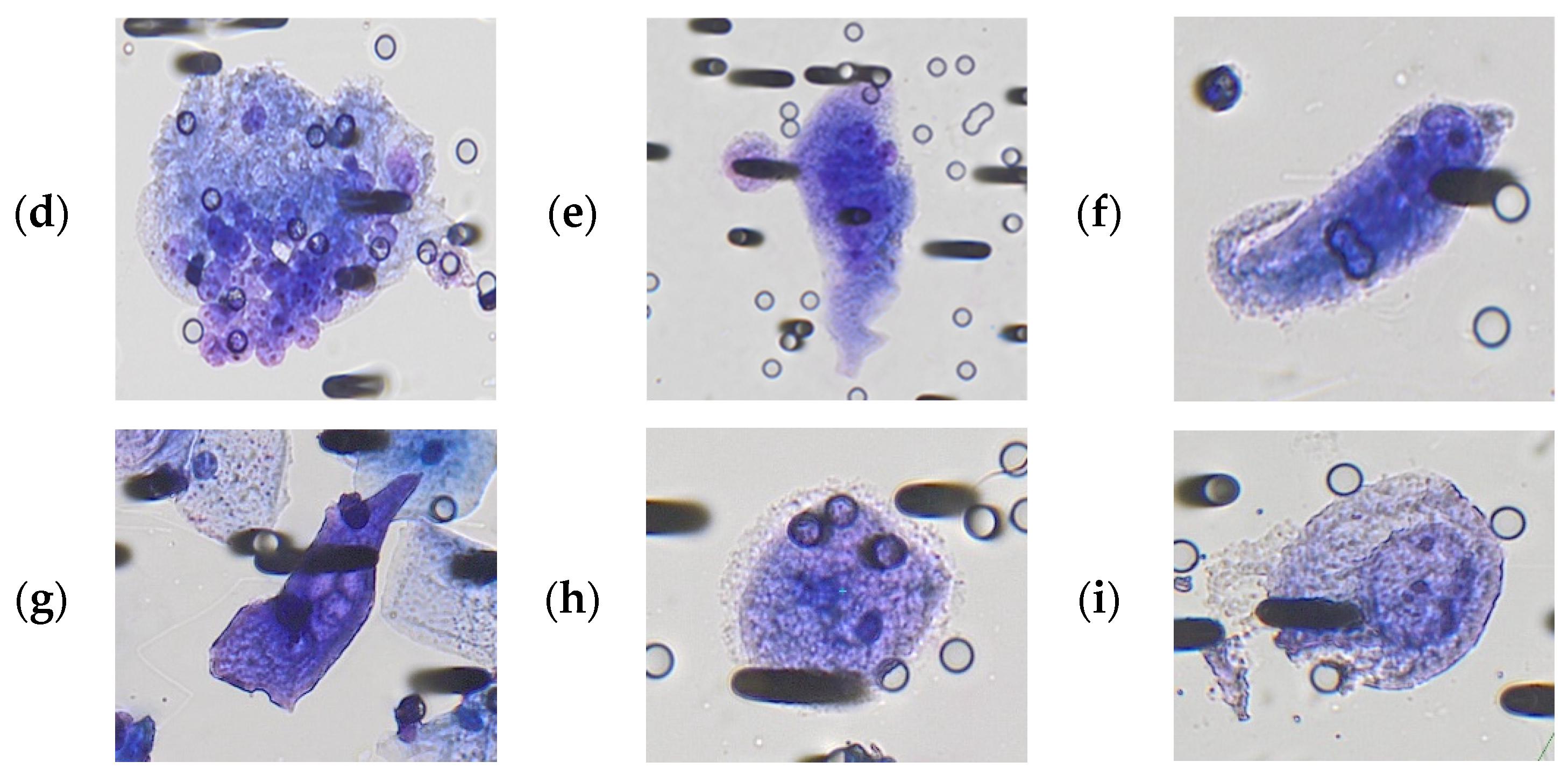 Cancers 15 03366 g001b