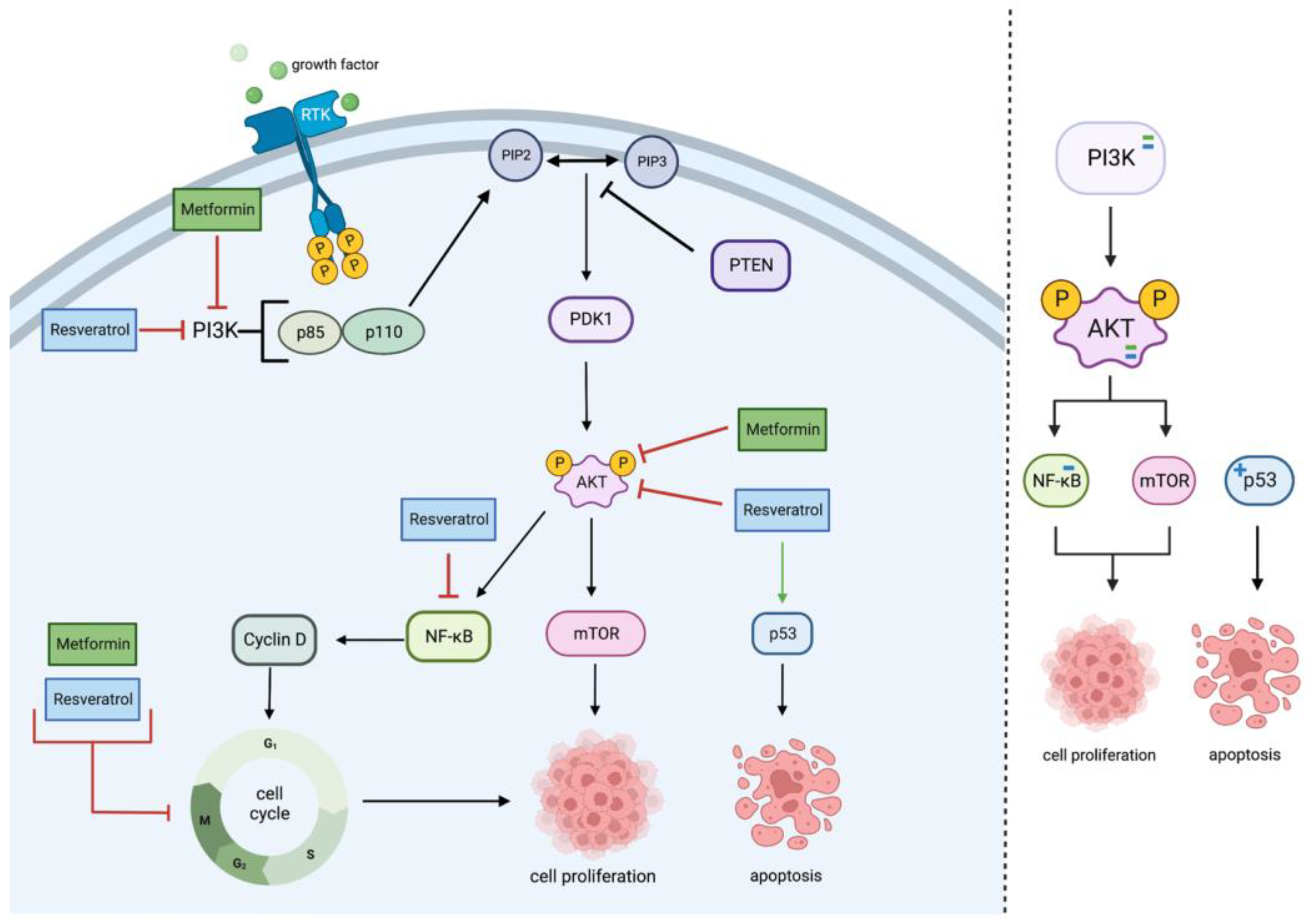 Cancers 15 03368 g001