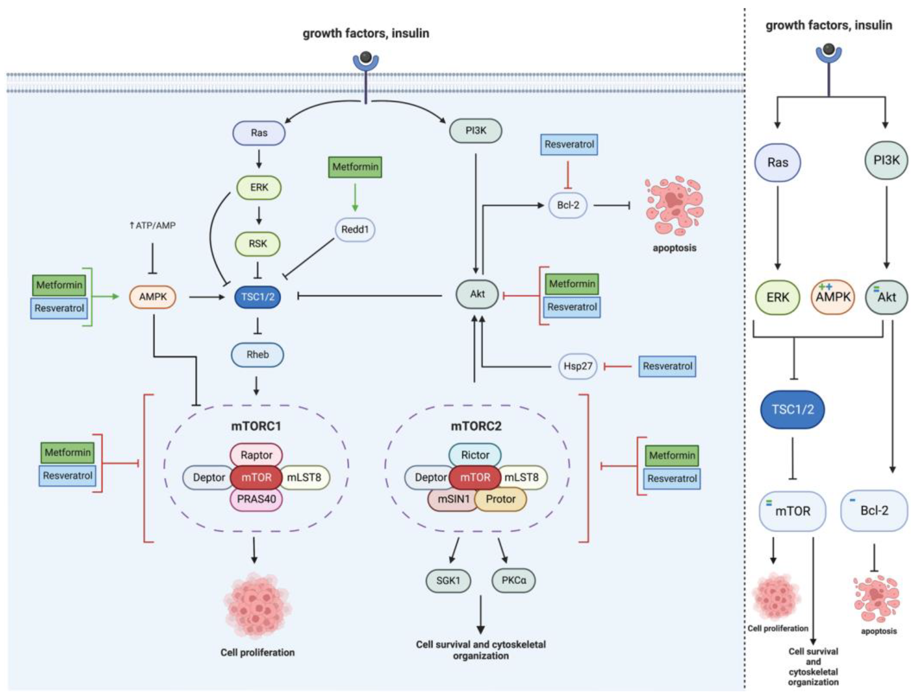 Cancers 15 03368 g002