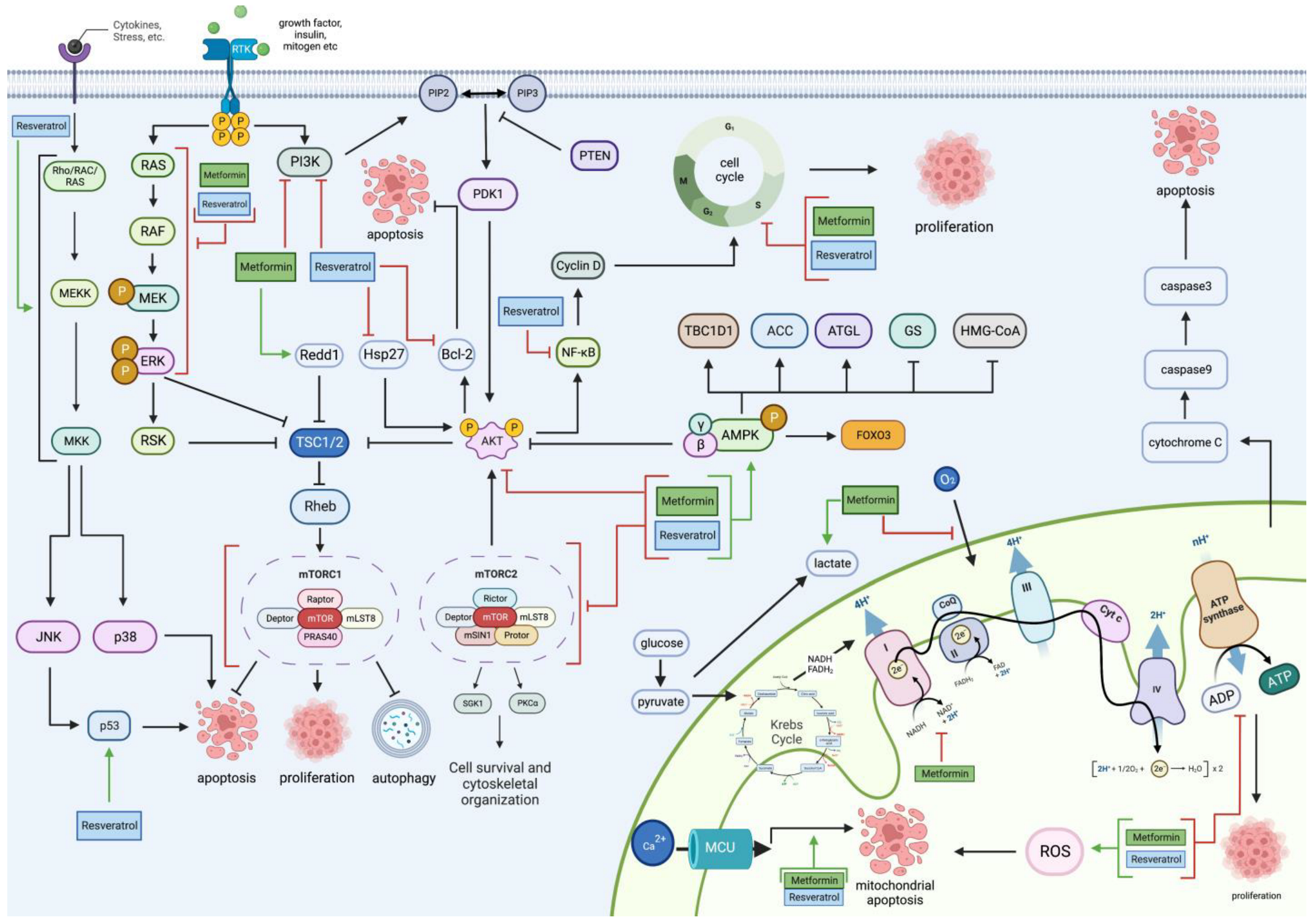 Cancers 15 03368 g006