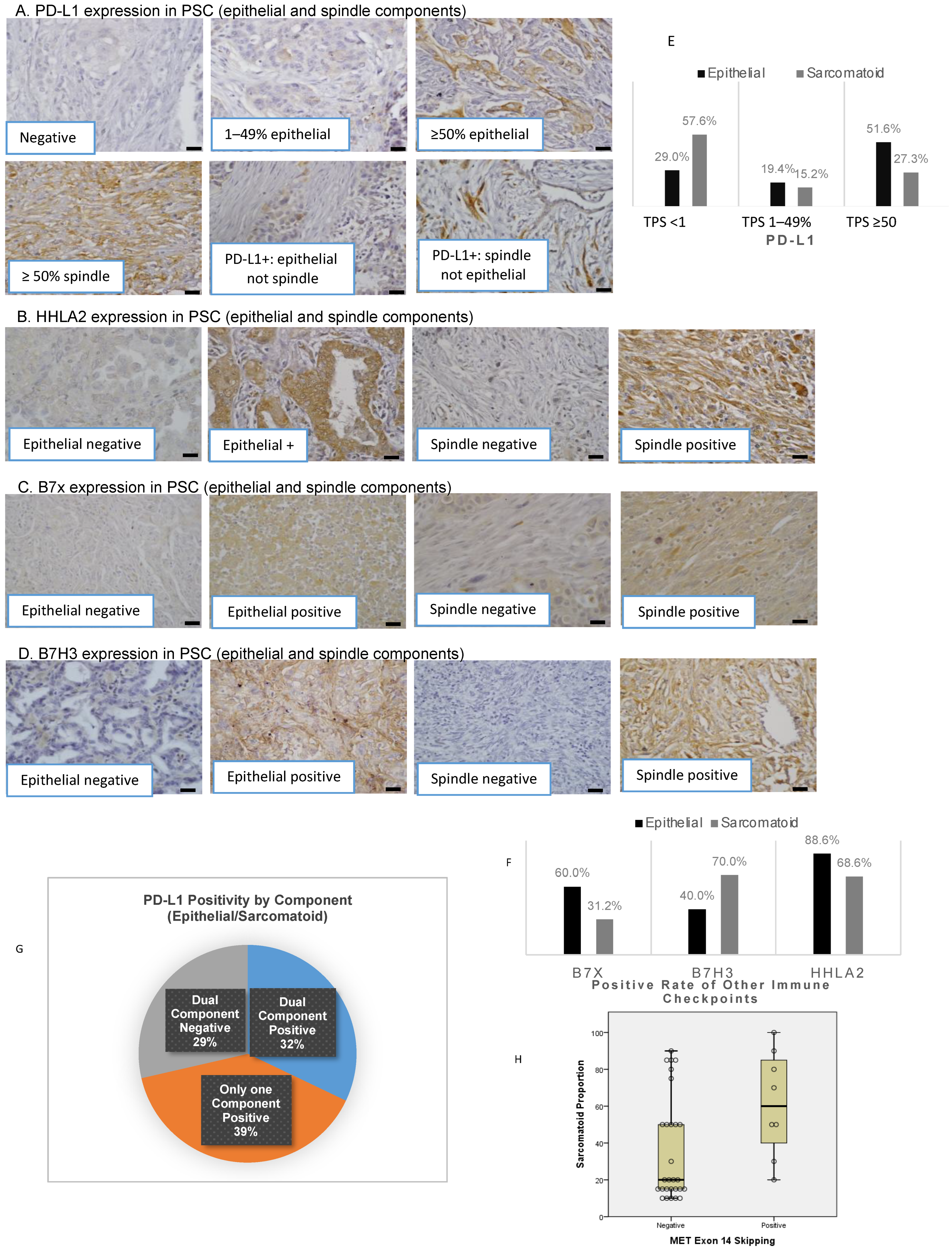 Cancers 15 03372 g001