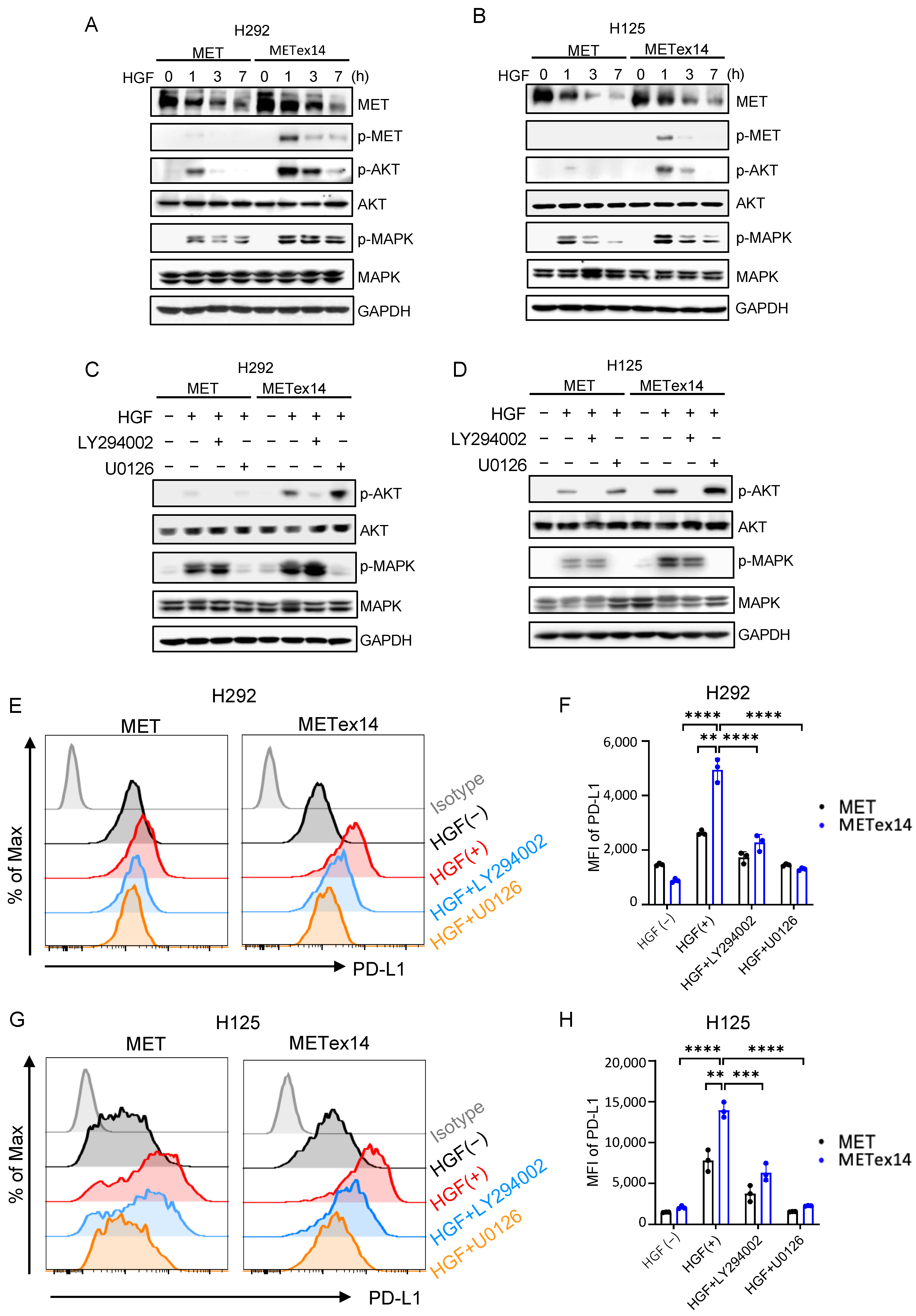 Cancers 15 03372 g003