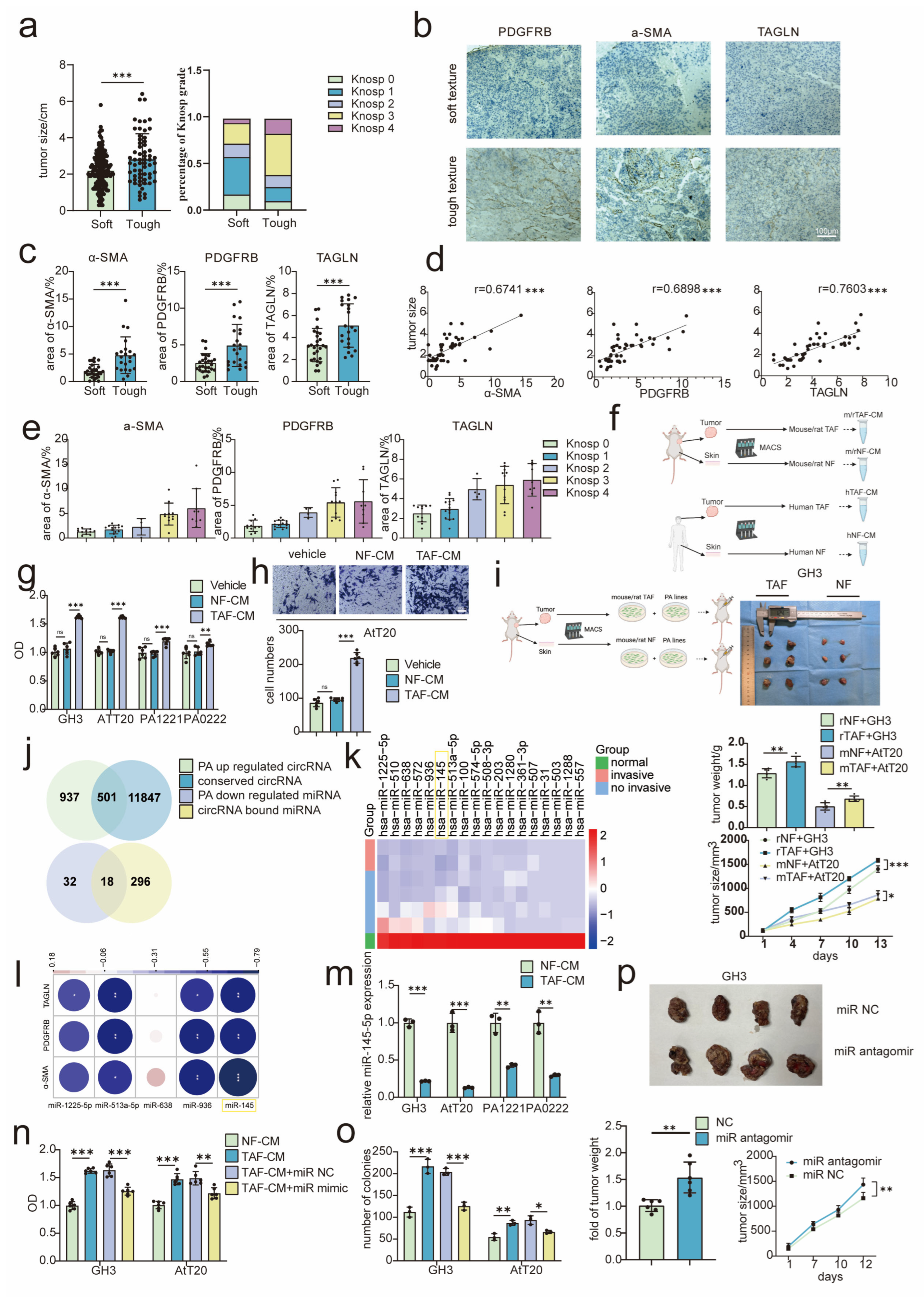 Cancers 15 03375 g001