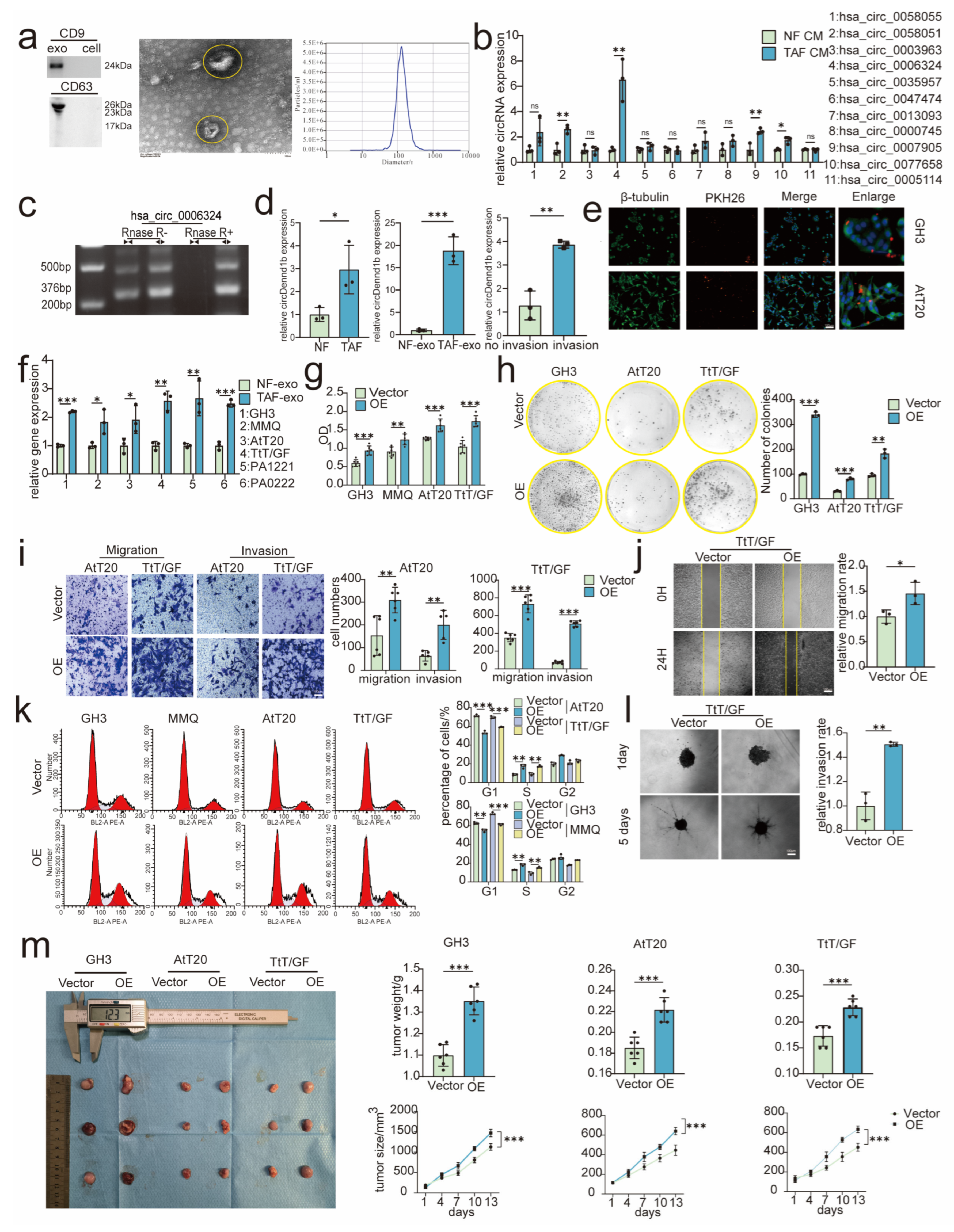 Cancers 15 03375 g002