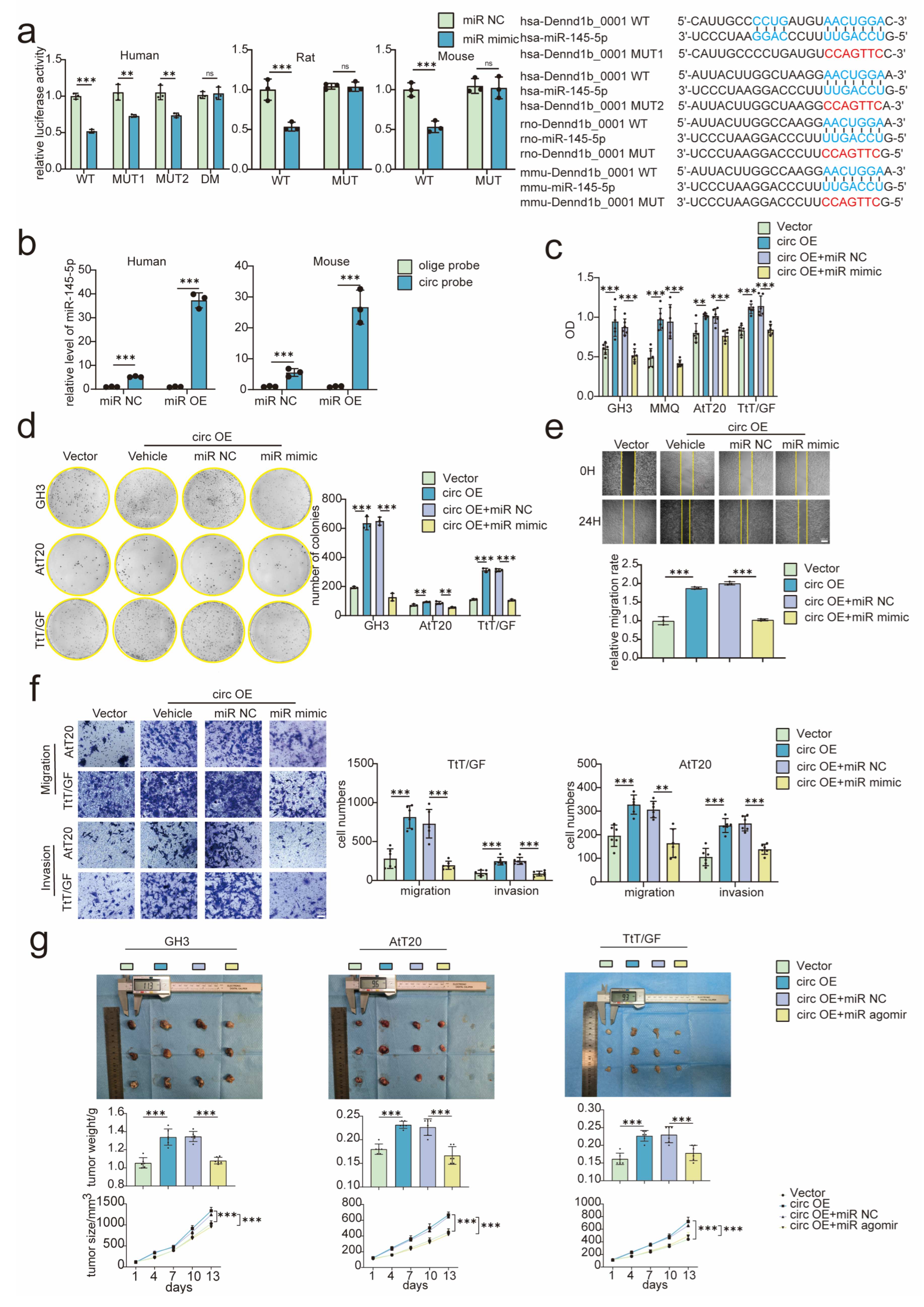 Cancers 15 03375 g003