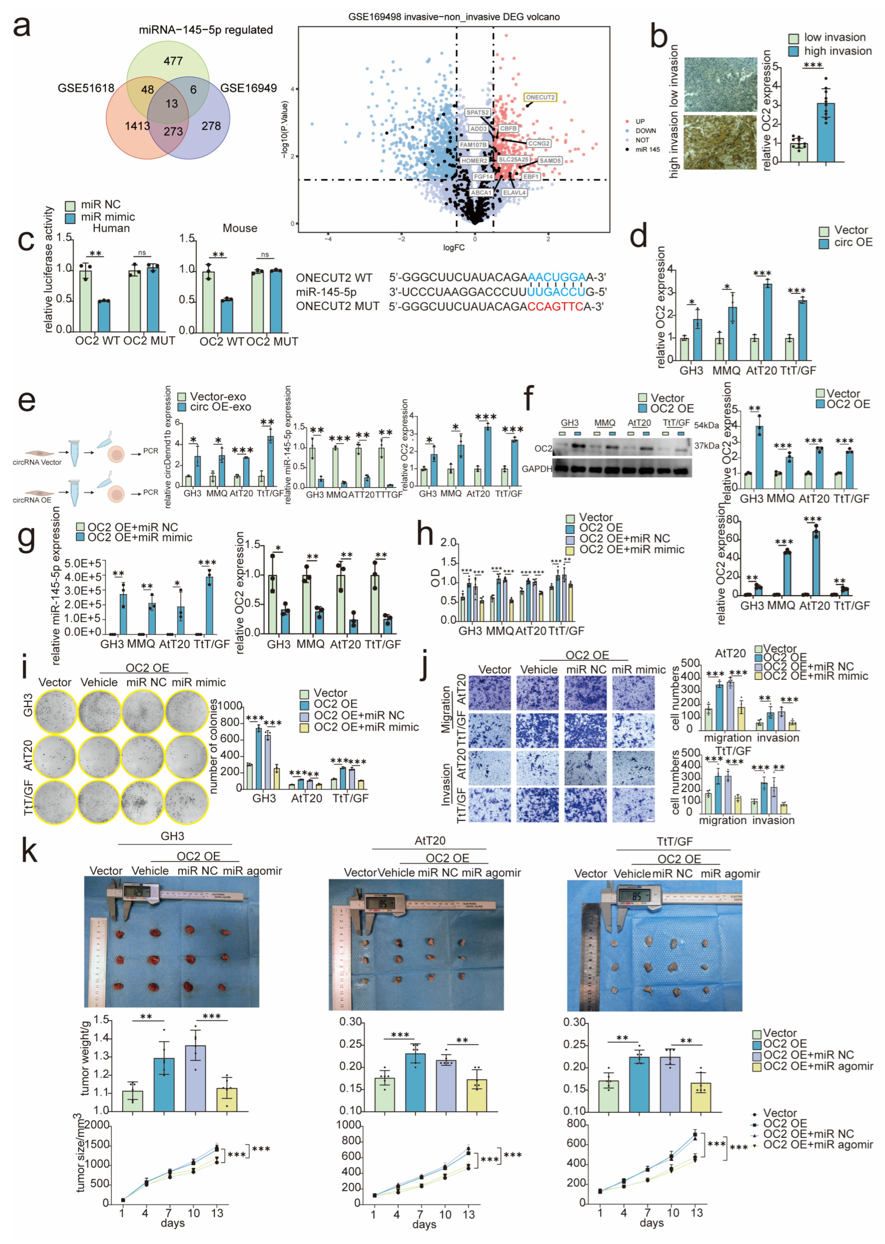 Cancers 15 03375 g004