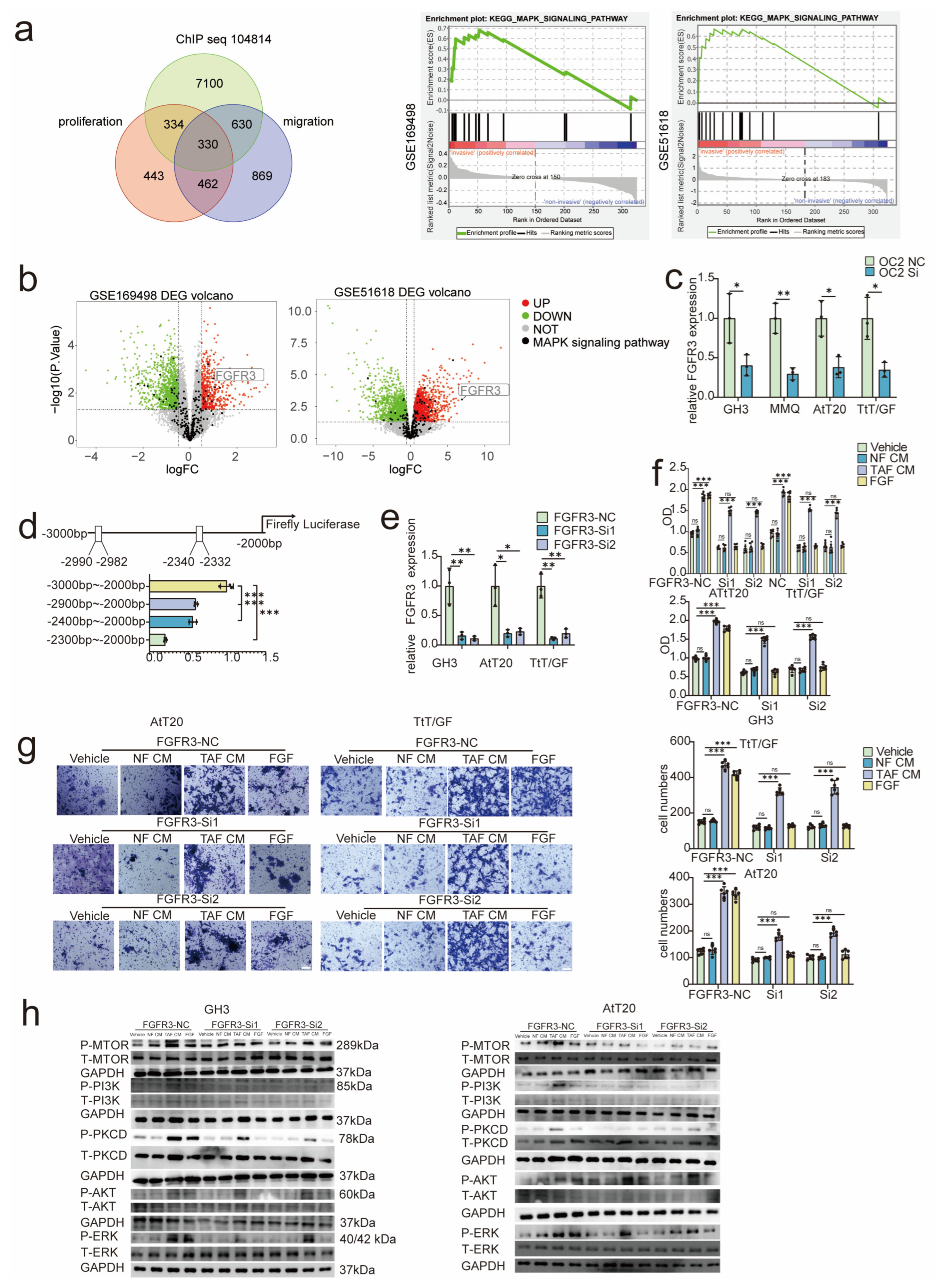 Cancers 15 03375 g005