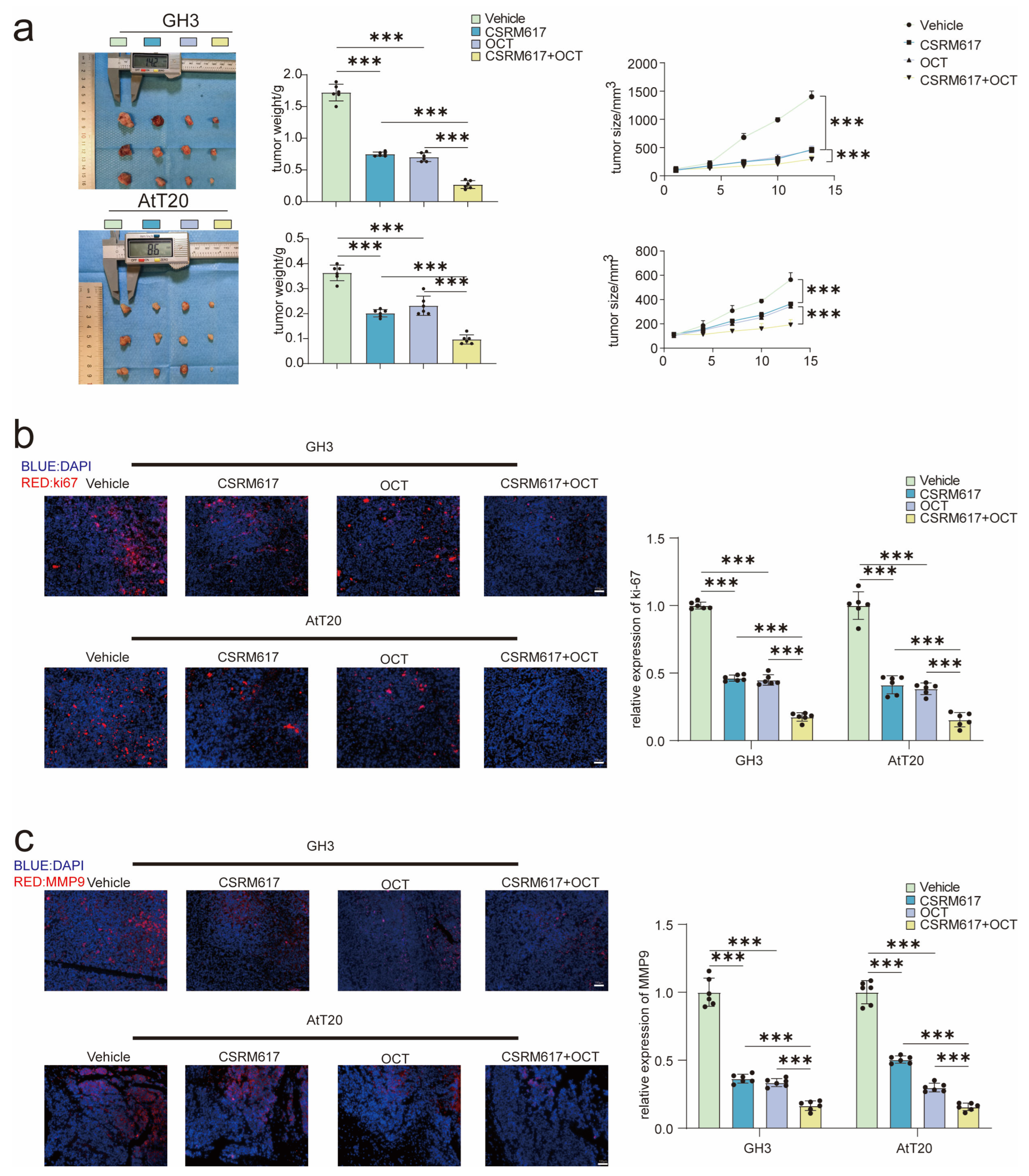 Cancers 15 03375 g006