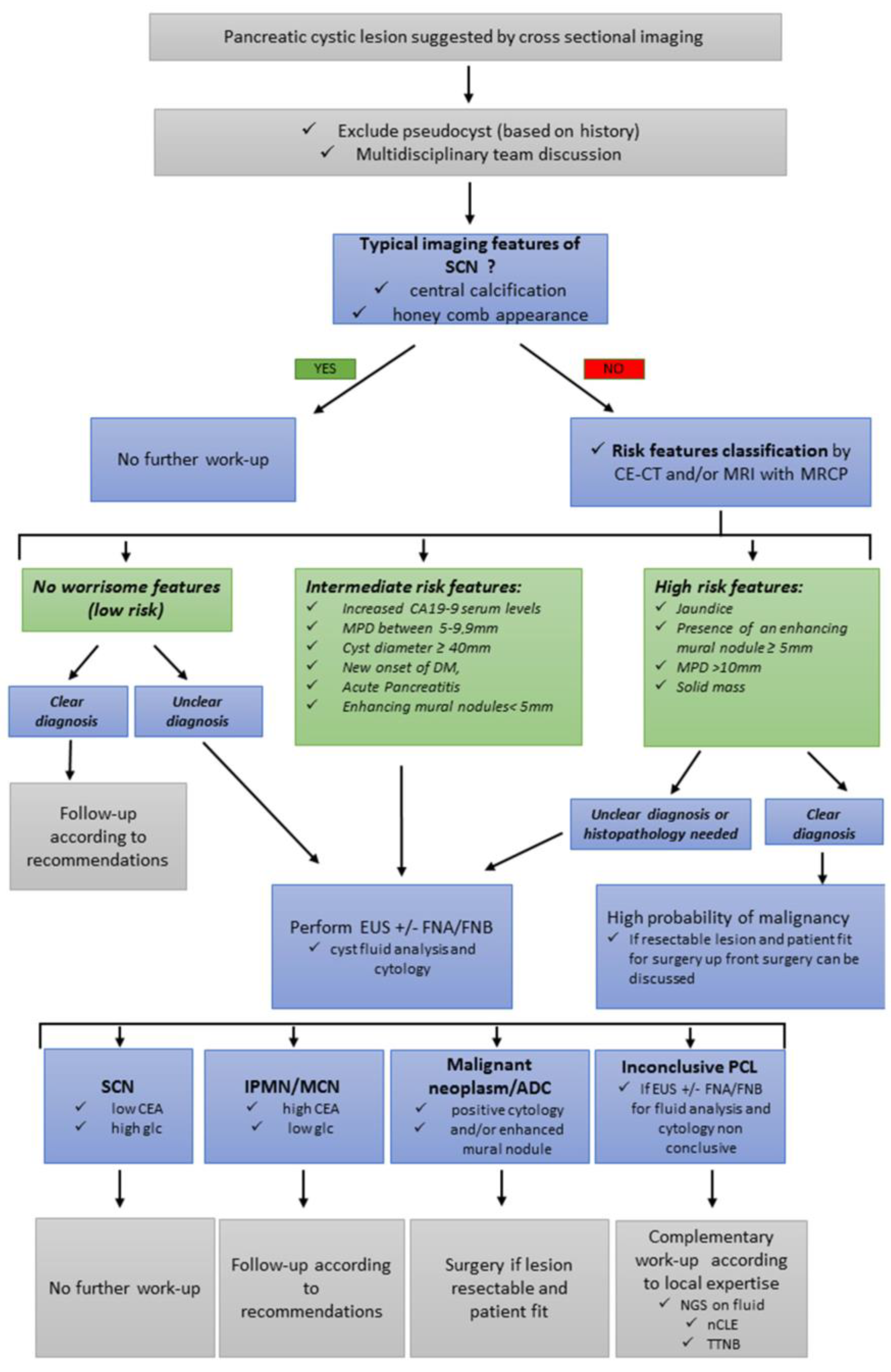 Cancers 15 03385 g001