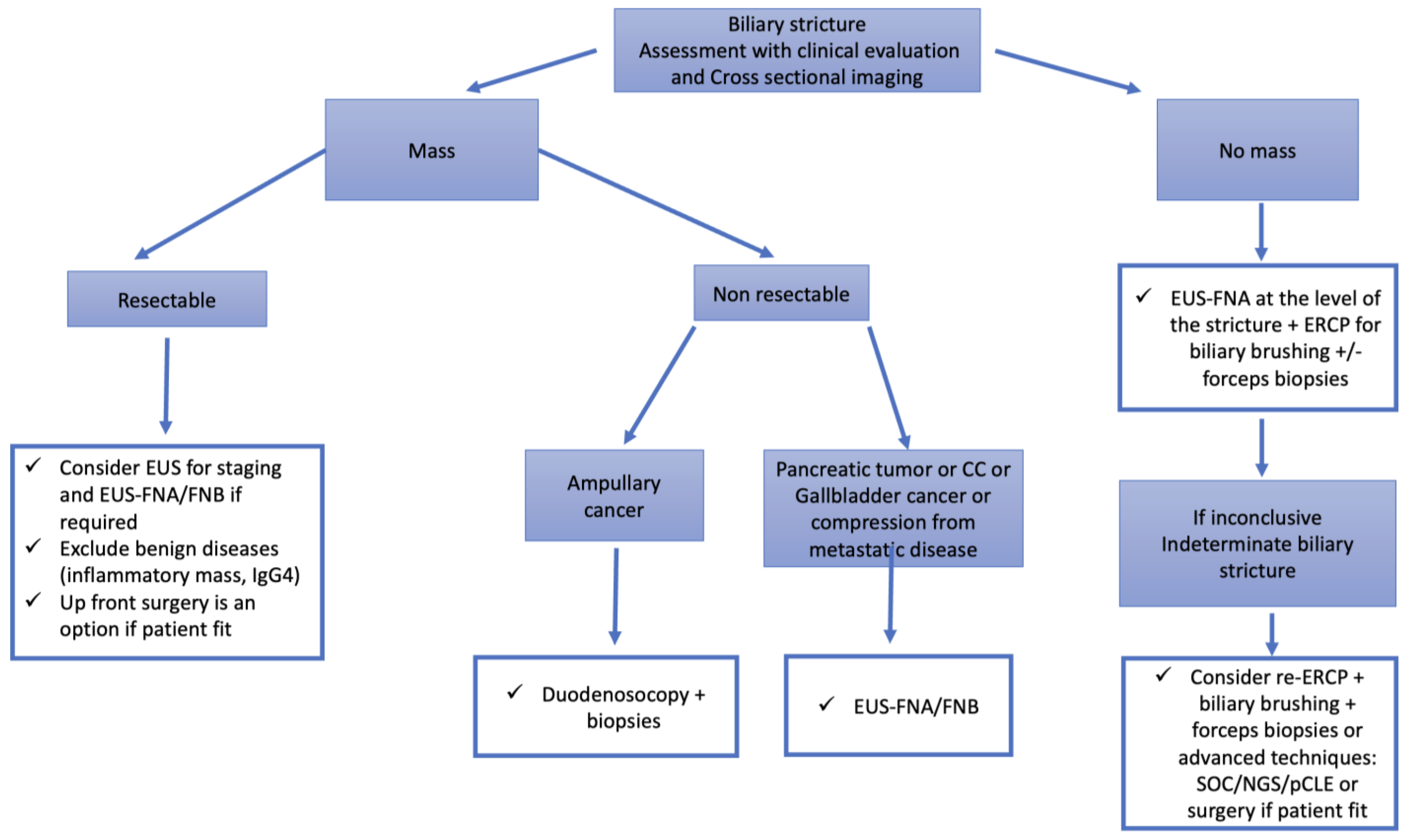 Cancers 15 03385 g002