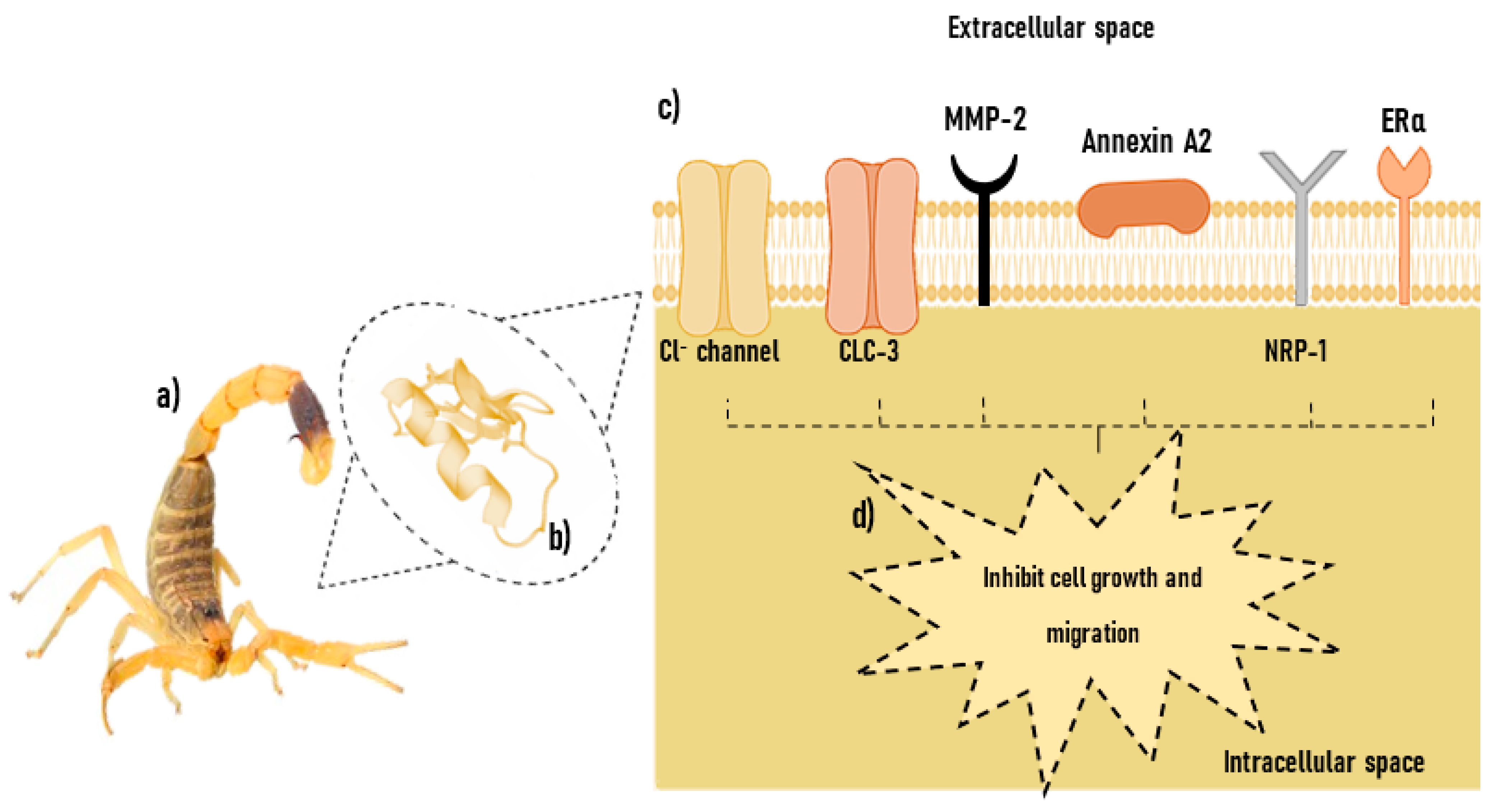Cancers 15 03388 g002 Cancers 15 03388 g002