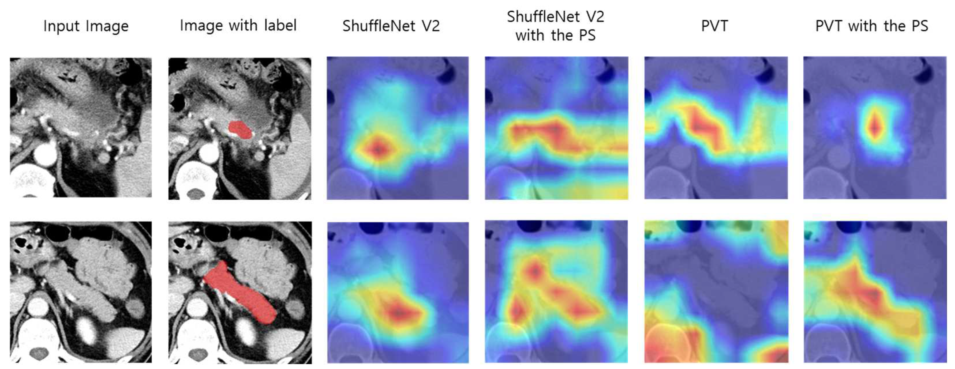 Cancers 15 03392 g003