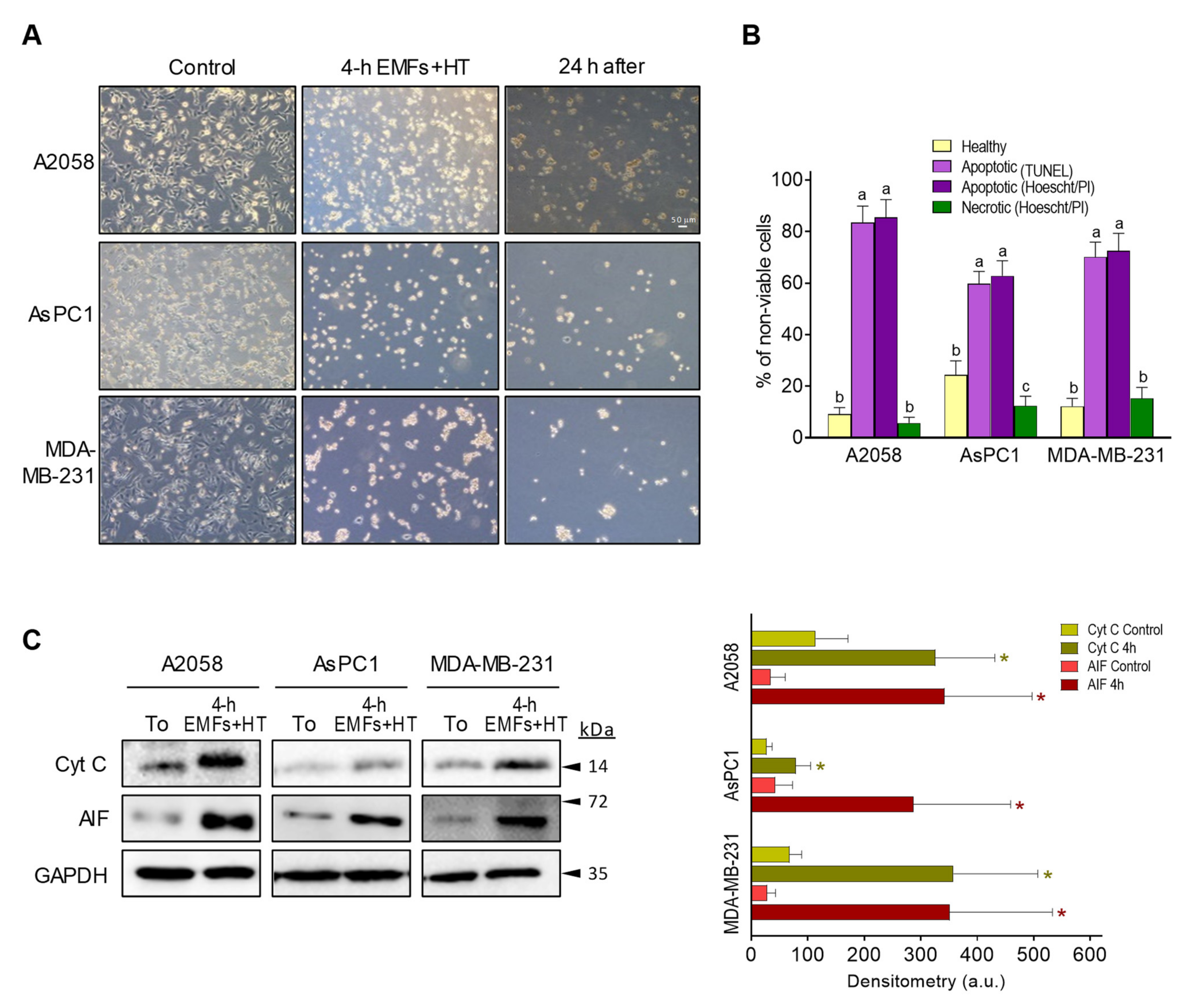 Cancers 15 03413 g003