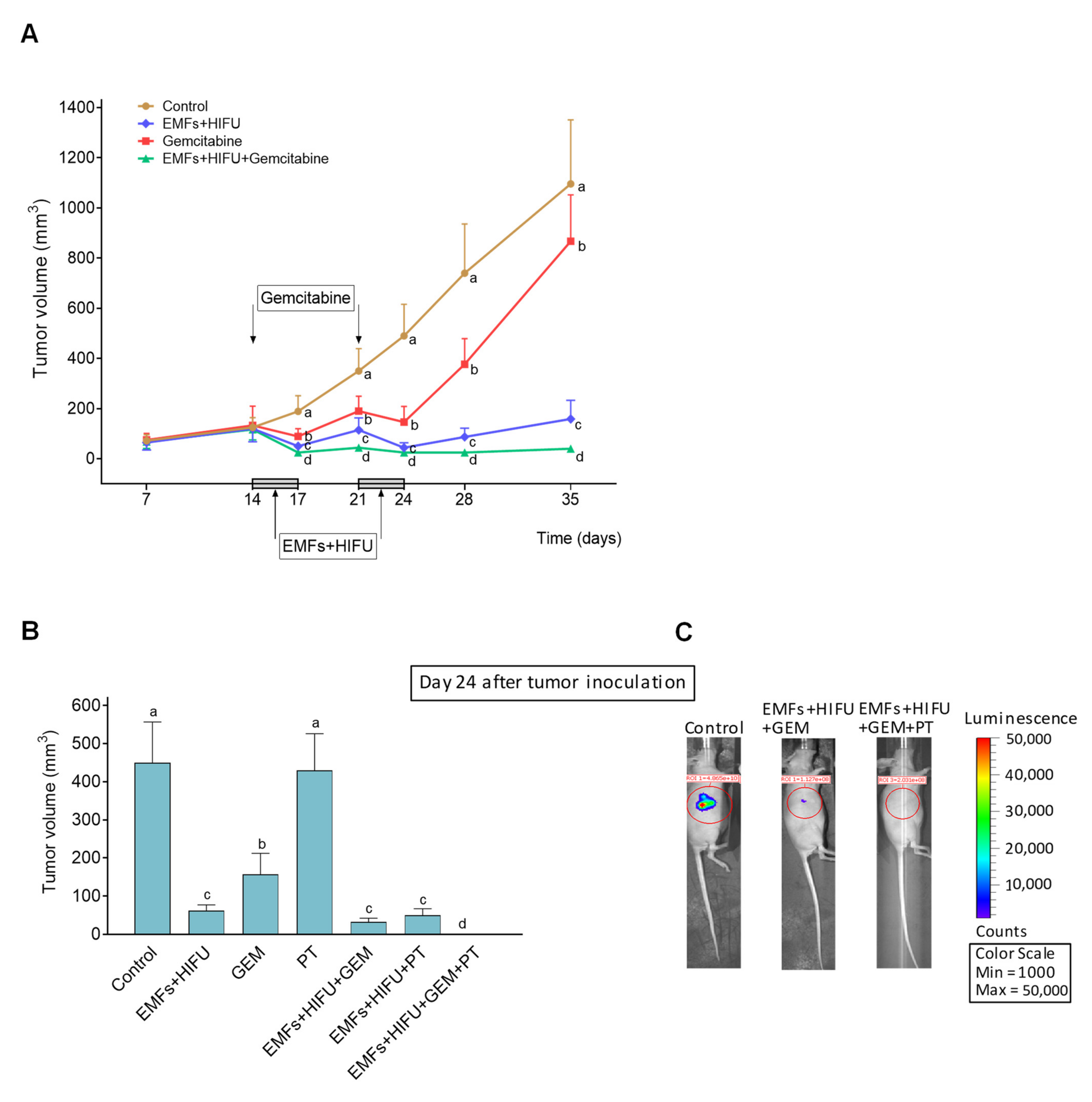 Cancers 15 03413 g007
