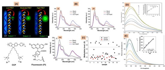 Cancers 15 03414 g003