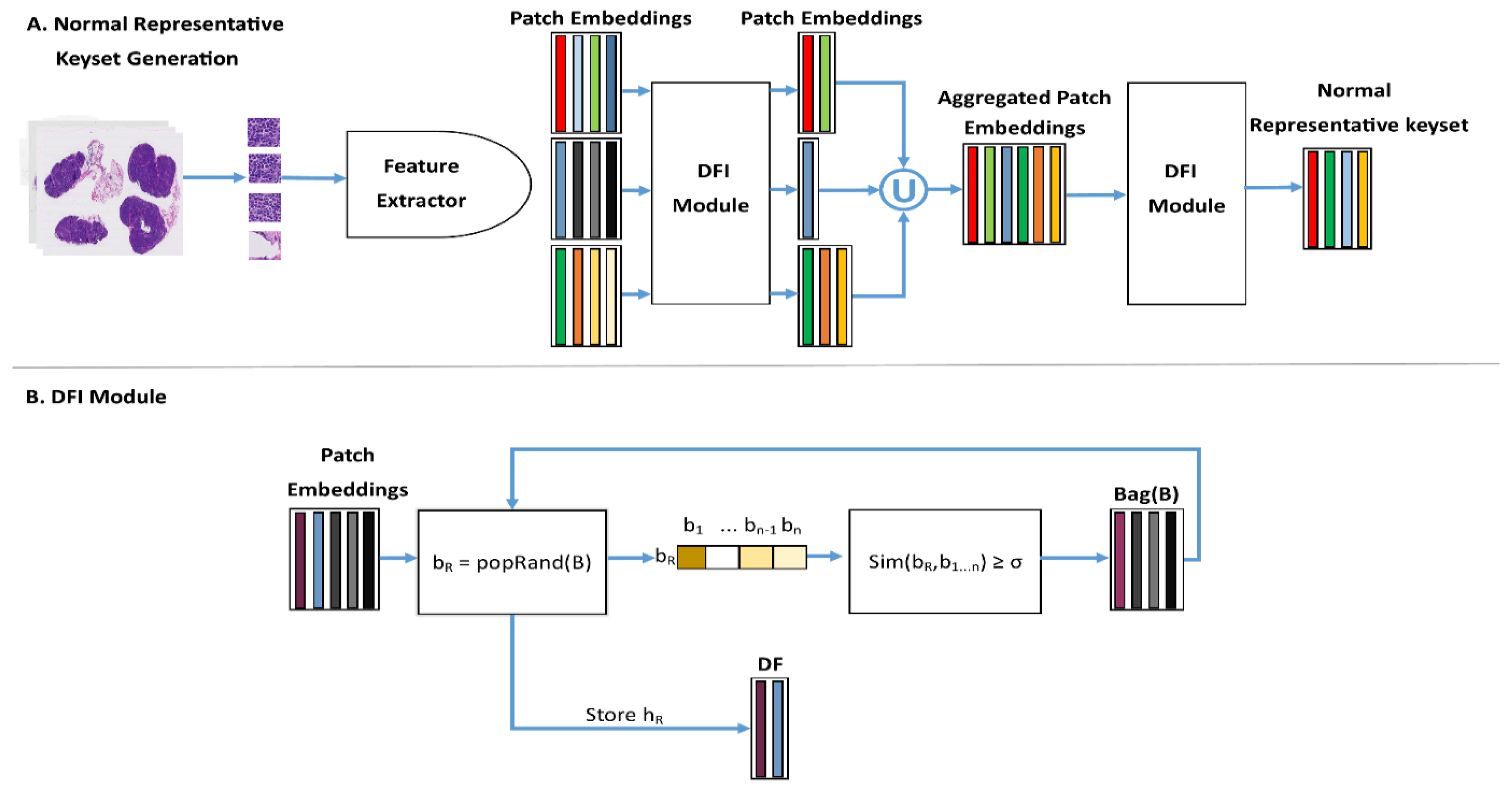 Cancers 15 03428 g001